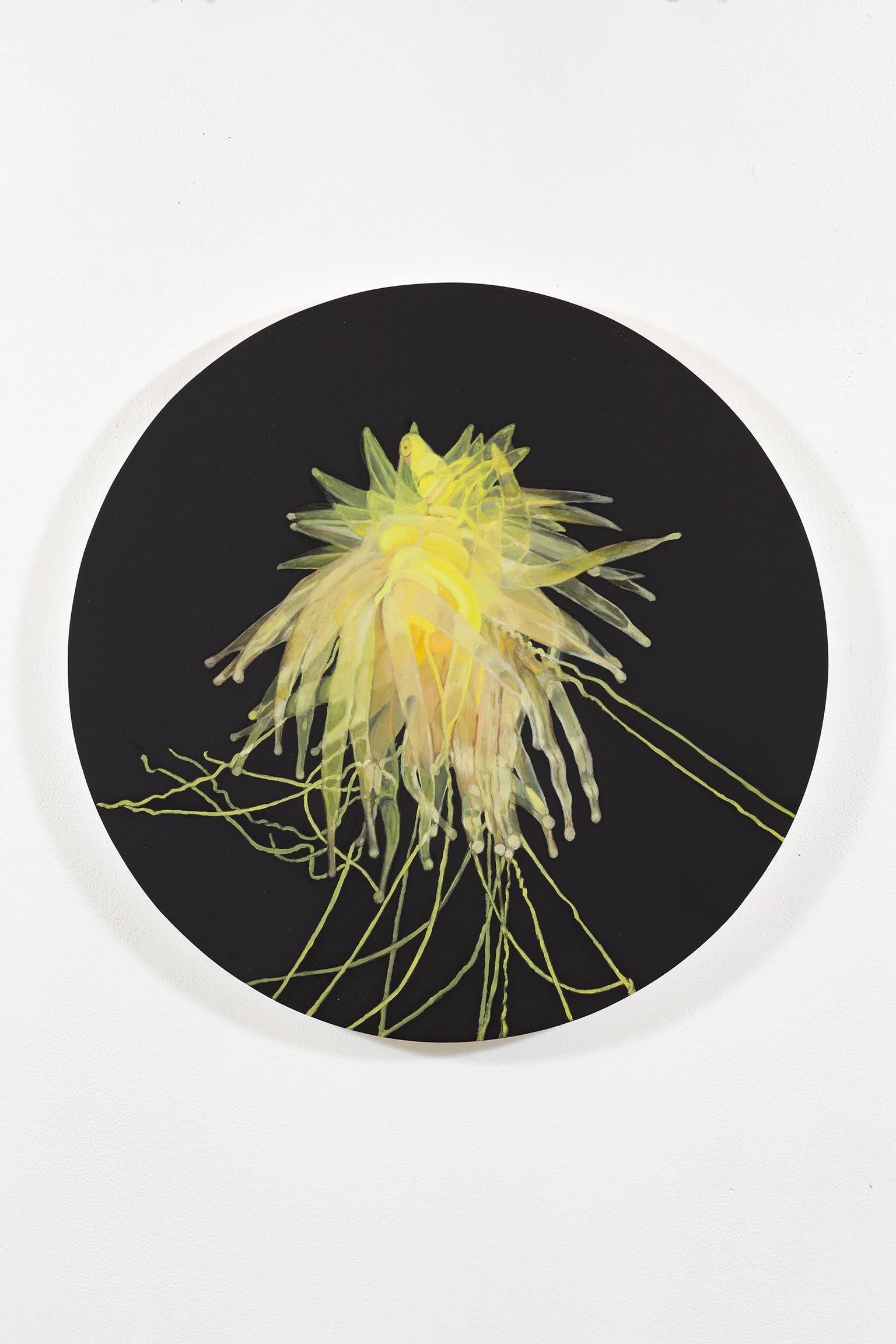Colleen Wolstenholme Figurative Painting - Yellow Siphonophore