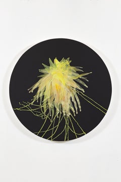 Yellow Siphonophore