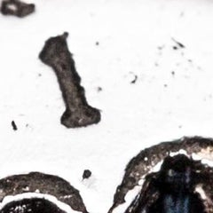 Colgante sin título (Klonopin)