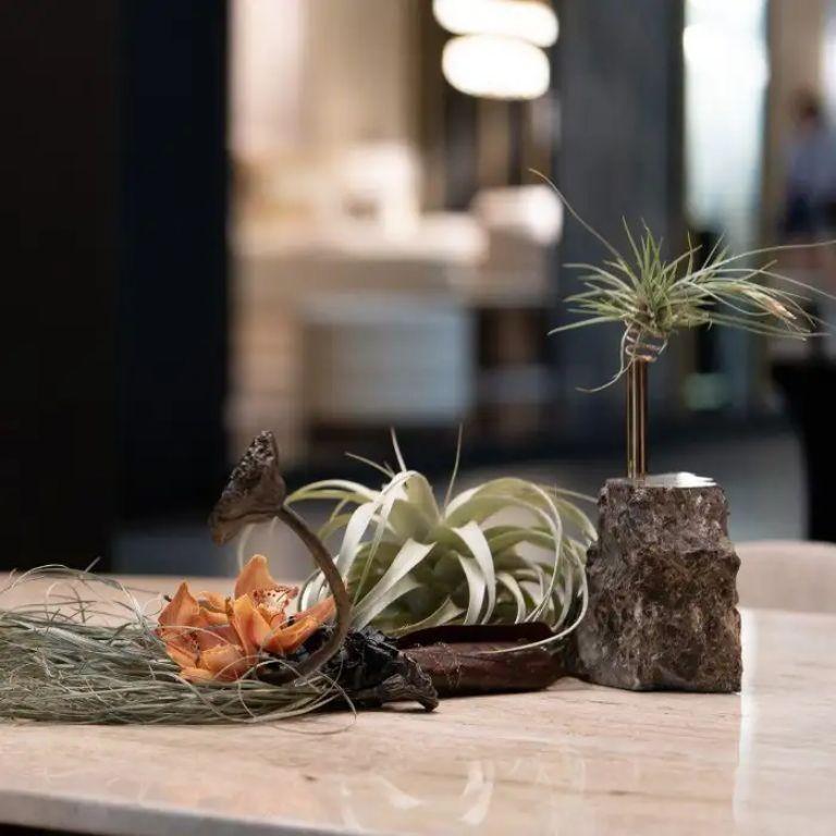 Presentamos Collis, un soporte para plantas exquisitamente elaborado que sirve de testimonio tanto del diseño inspirado en la naturaleza como de la artesanía experta. Inspirándose en la belleza agreste de los acantilados rocosos, Collis combina a la