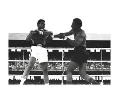 Muhammad Ali: The Boxing Champion in Action
