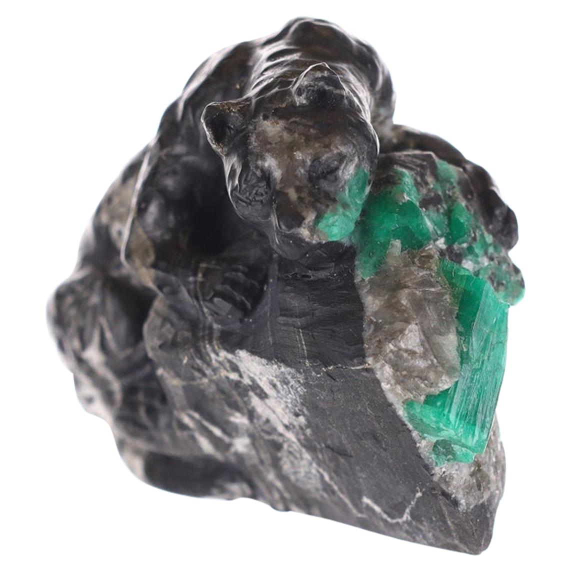 Colombian Emerald Black Jaguar Rough Crystal Sculpture For Sale