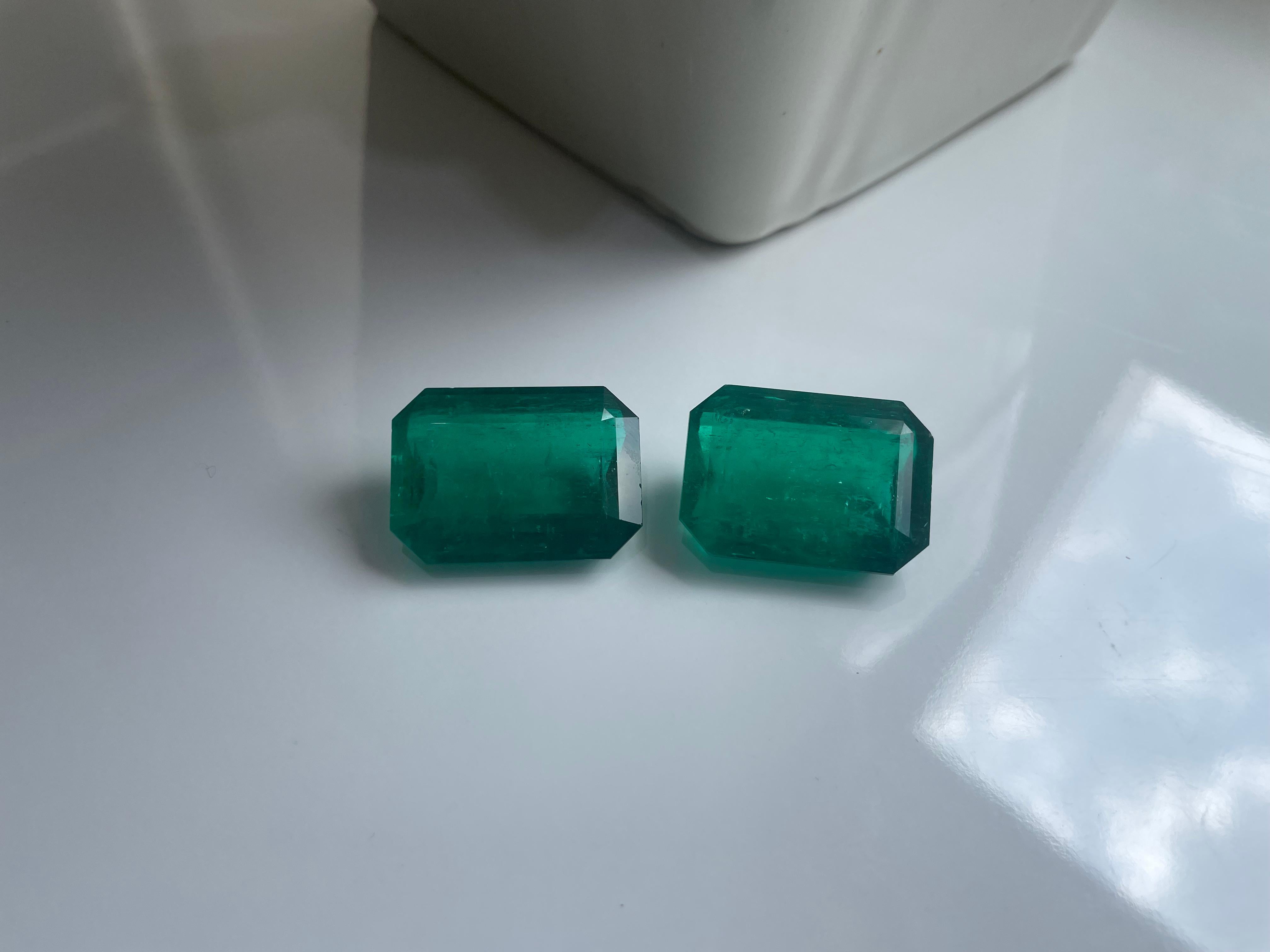 Kolumbianischer Smaragd Oktagon Paar - 102,69 cts (GRS zertifiziert Minor, Vivid Green) im Angebot 1