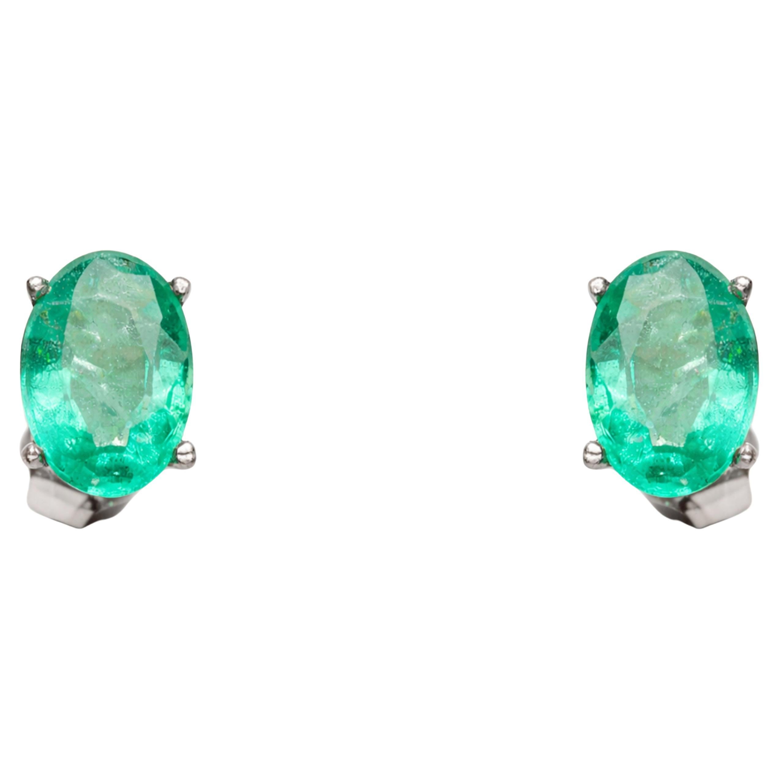 Colombian Emerald Stud Earrings in 14K White Gold