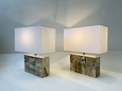 Colombian Pair of Horn and Chrome Table Lamps by Enrique Garcel