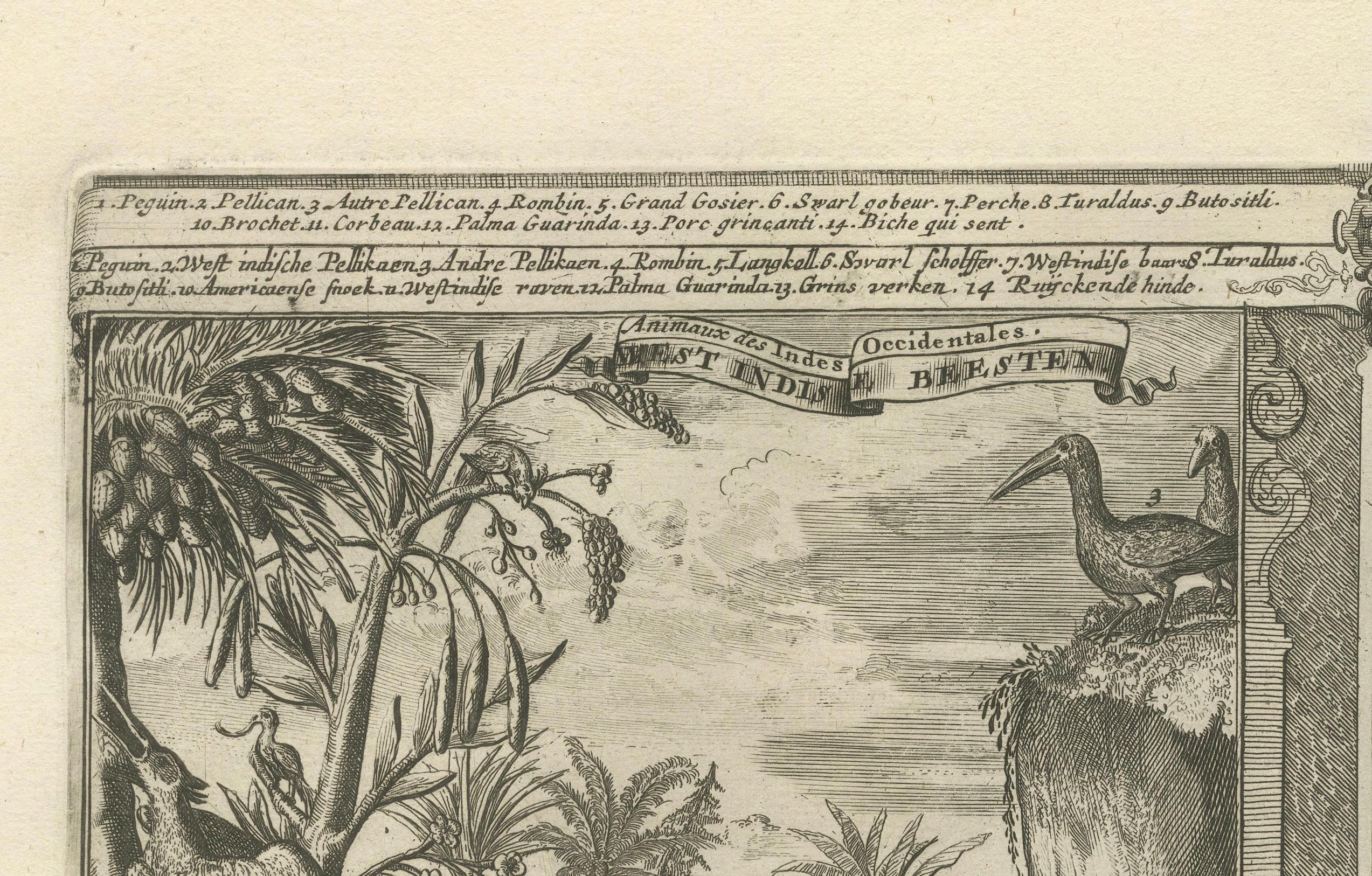 Koloniale Kuriositäten: The Fauna of the West Indies, von R. de Hooghe, um 1708 im Zustand „Hervorragend“ im Angebot in Langweer, NL