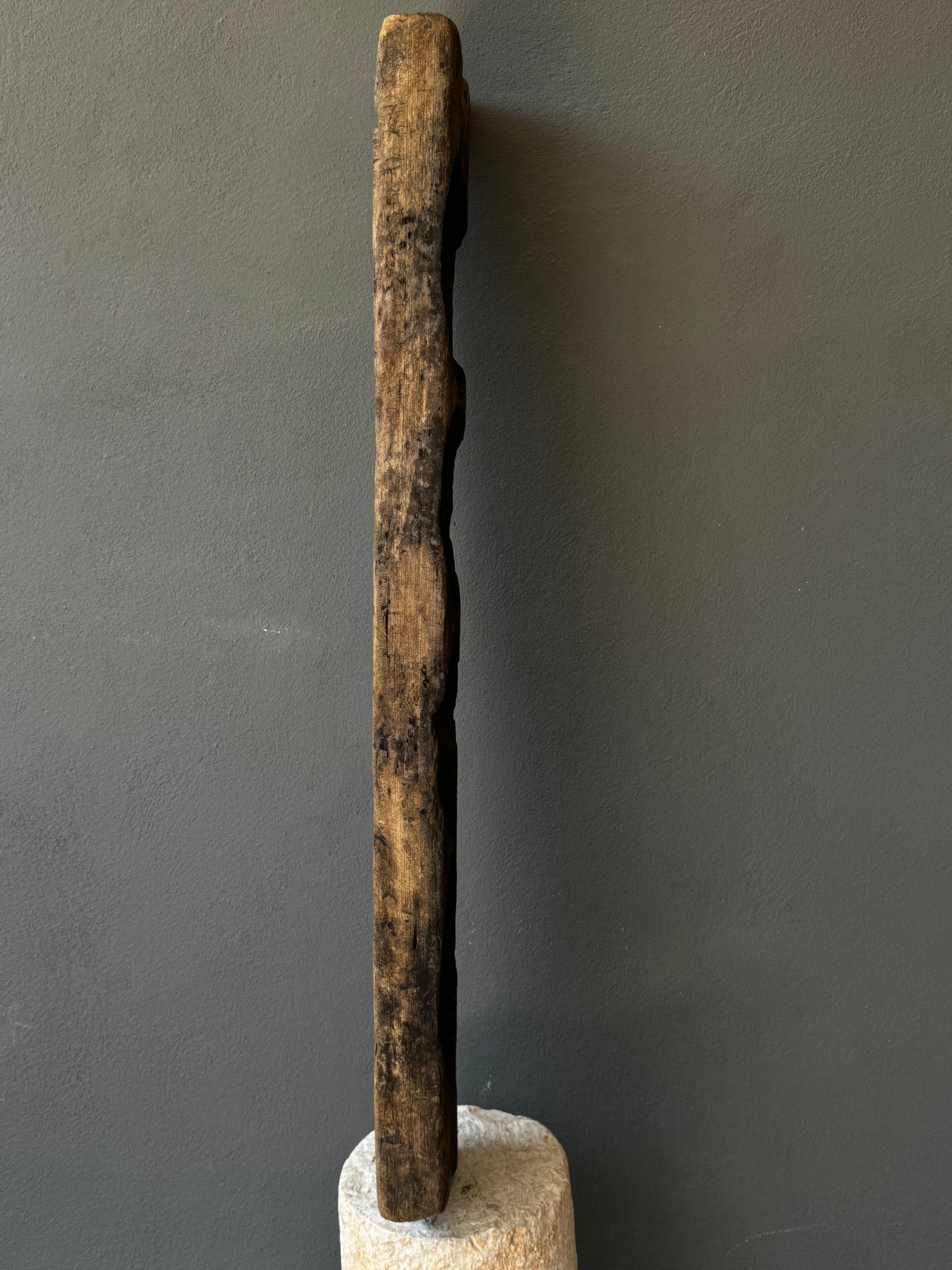Hand-Carved Colonial Wooden Cheese Mold From Puebla, Mexico, late 1800´s