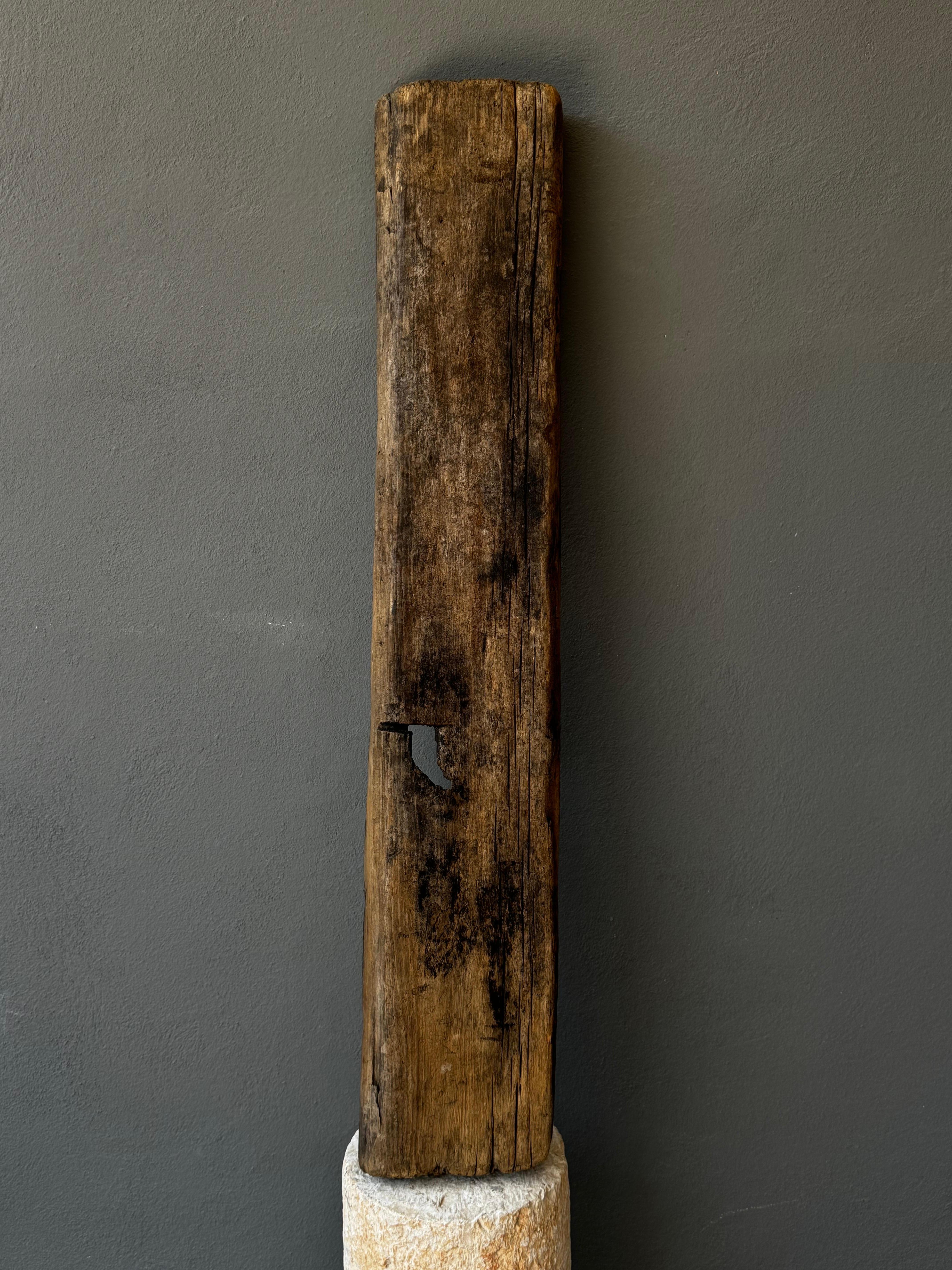 19th Century Colonial Wooden Cheese Mold From Puebla, Mexico, late 1800´s