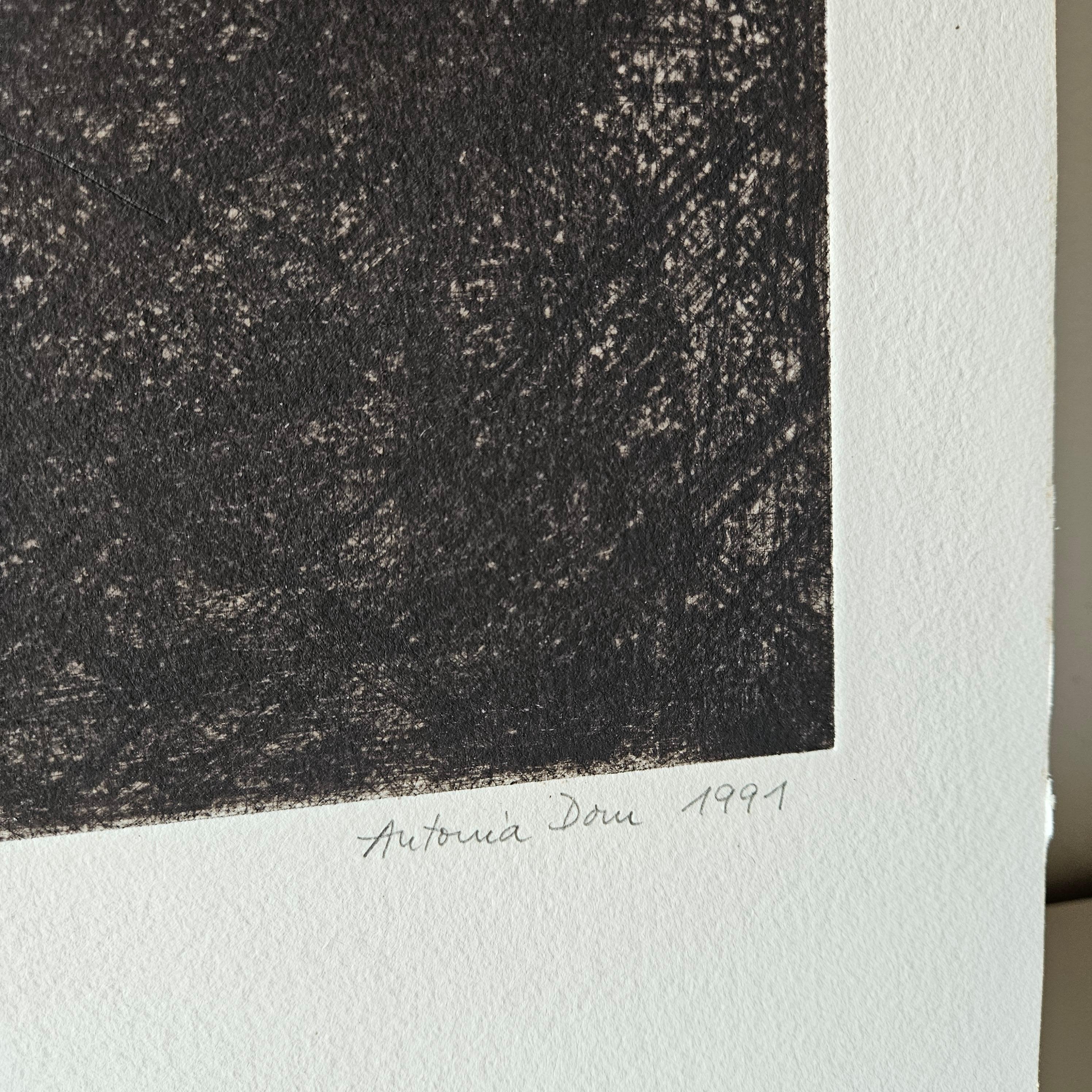 Farbradierung  Antonia Dombrowsky 1991-  Farbgravur - handgeschöpftes Bütten-Papier (Ende des 20. Jahrhunderts) im Angebot