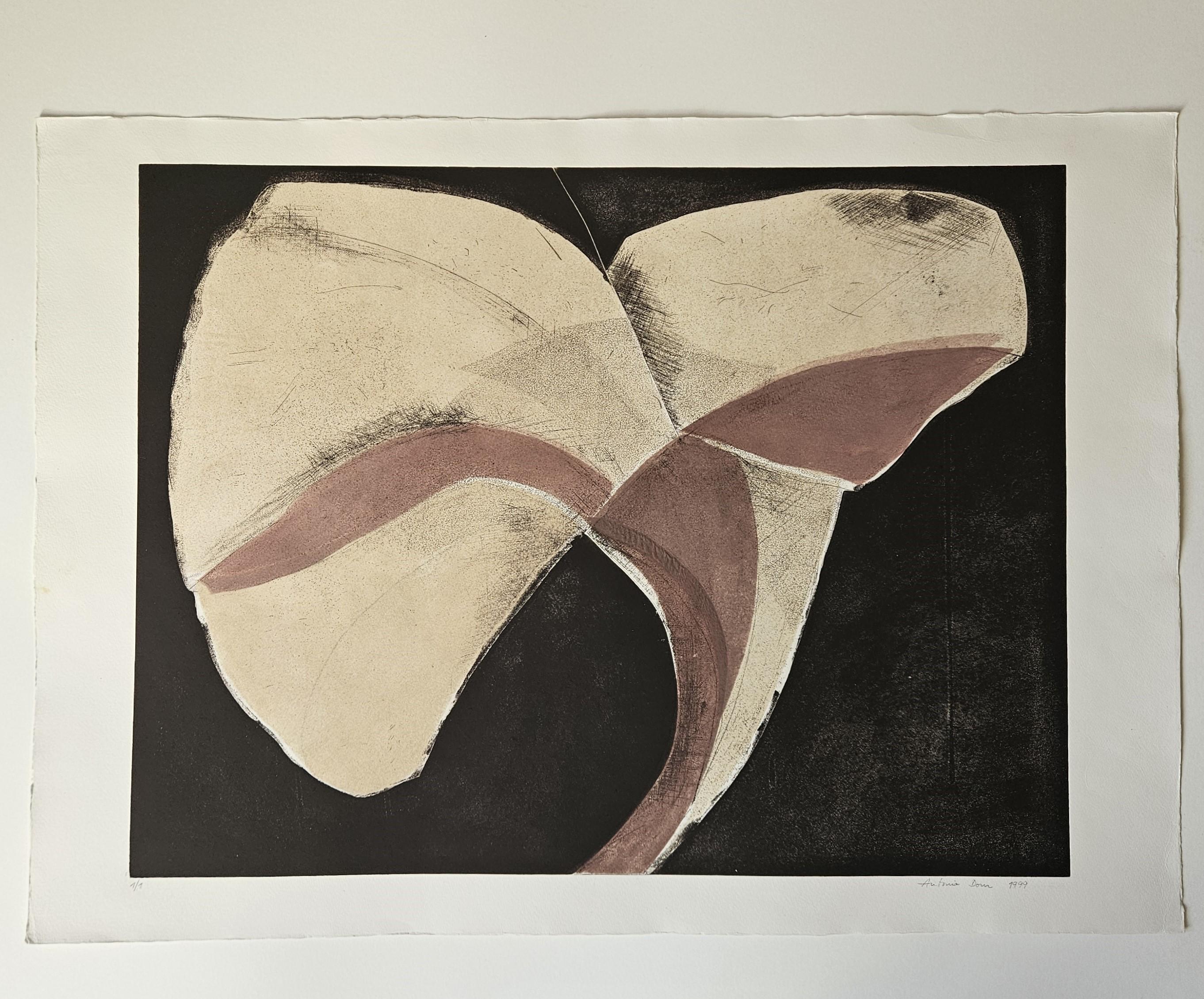 Künstlerin Antonia Dombrowsky 
Signet Farbradierung  -  1/1  1999
Dimension  
Höhe 56 cm /  22,04 Zoll
Breite   79 cm /  25,19 Zoll

Biographie des Künstlers
1935 Geboren in Düsseldorf  
1953-57 Studium der Pädagogik in Köln
1958-63 reiste er durch