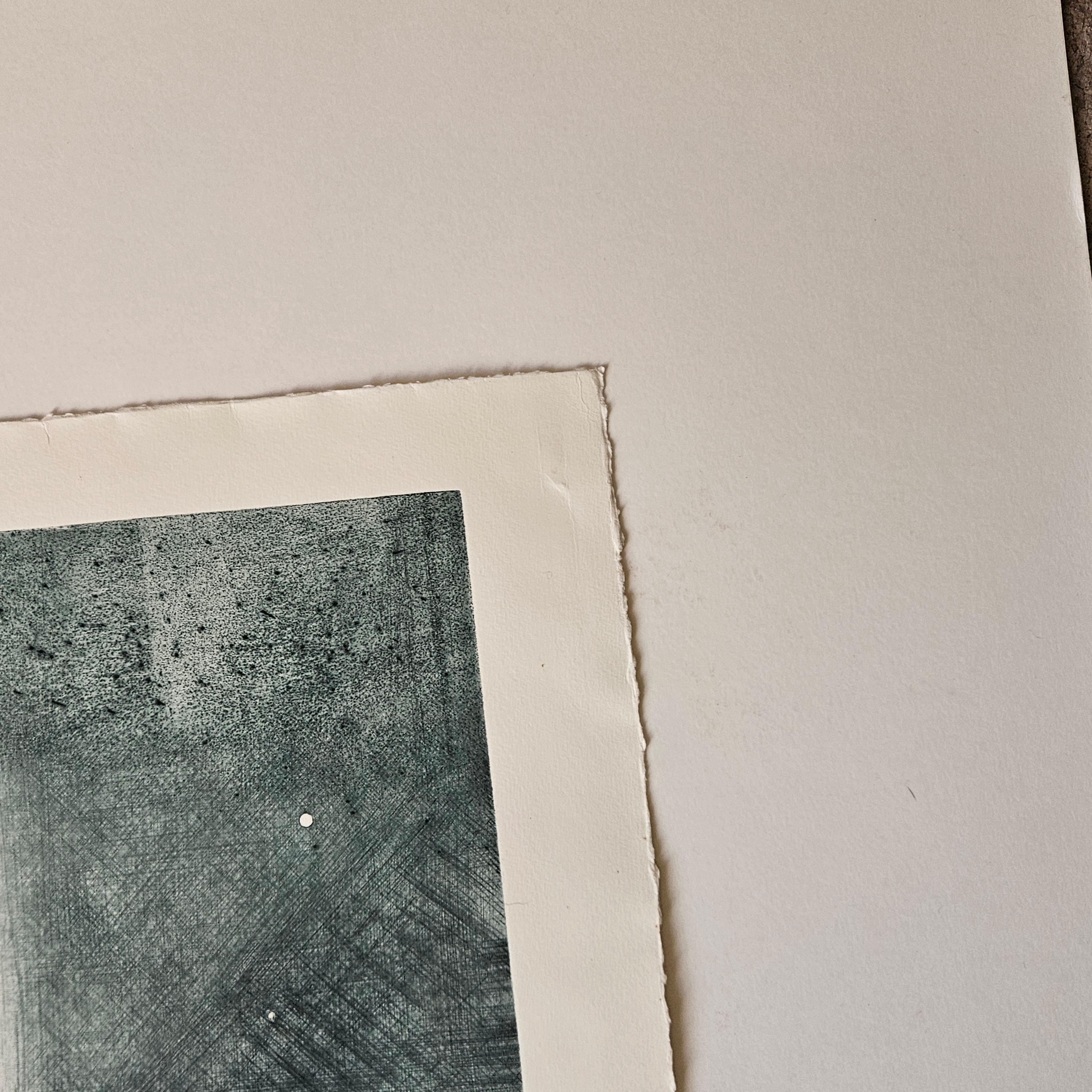 Farbradierung  Antonia Dombrowsky 1990- Farbgravur handgeschöpftes Bütten-Papier (Deutsch) im Angebot