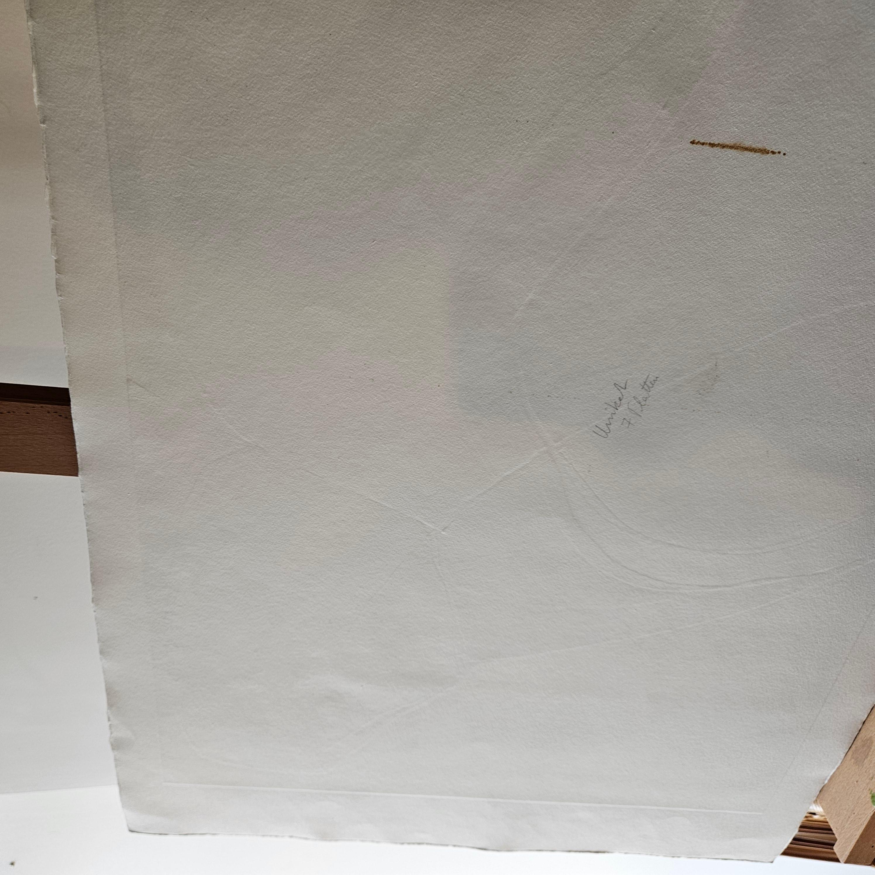Farbradierung  Antonia Dombrowsky 1999 - Farbstich handgeschöpftes Bütten-Papier (Ende des 20. Jahrhunderts) im Angebot
