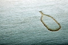 Color Flow Carpet, Hand Knotted in Wool, 100kpi, Florian Hauswirth