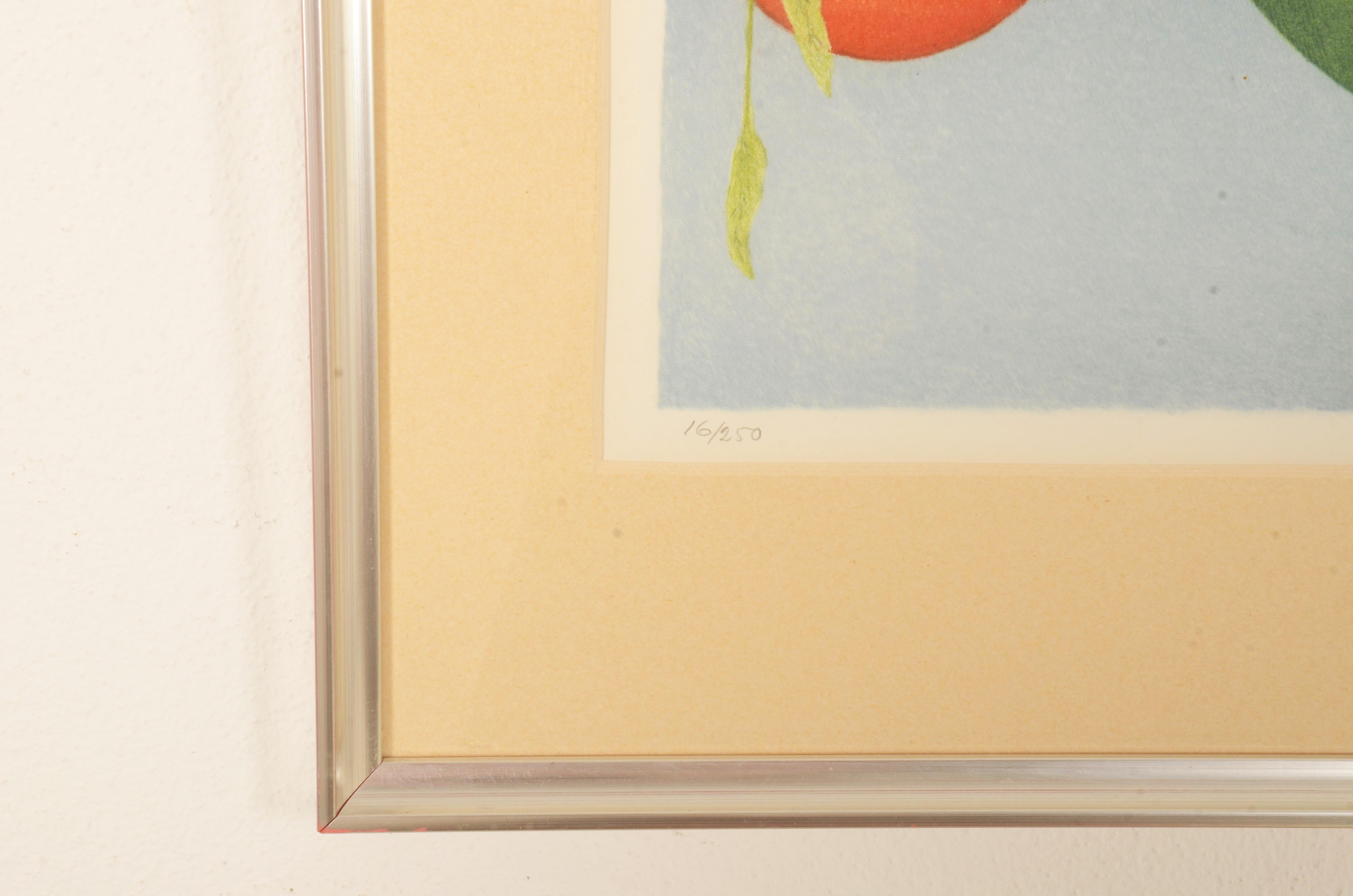 Farblithographie „Früchte“ von Nils Artur Nilsson (Ende des 20. Jahrhunderts) im Angebot