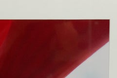 Color Photograph of a Detail of a Purple Flower