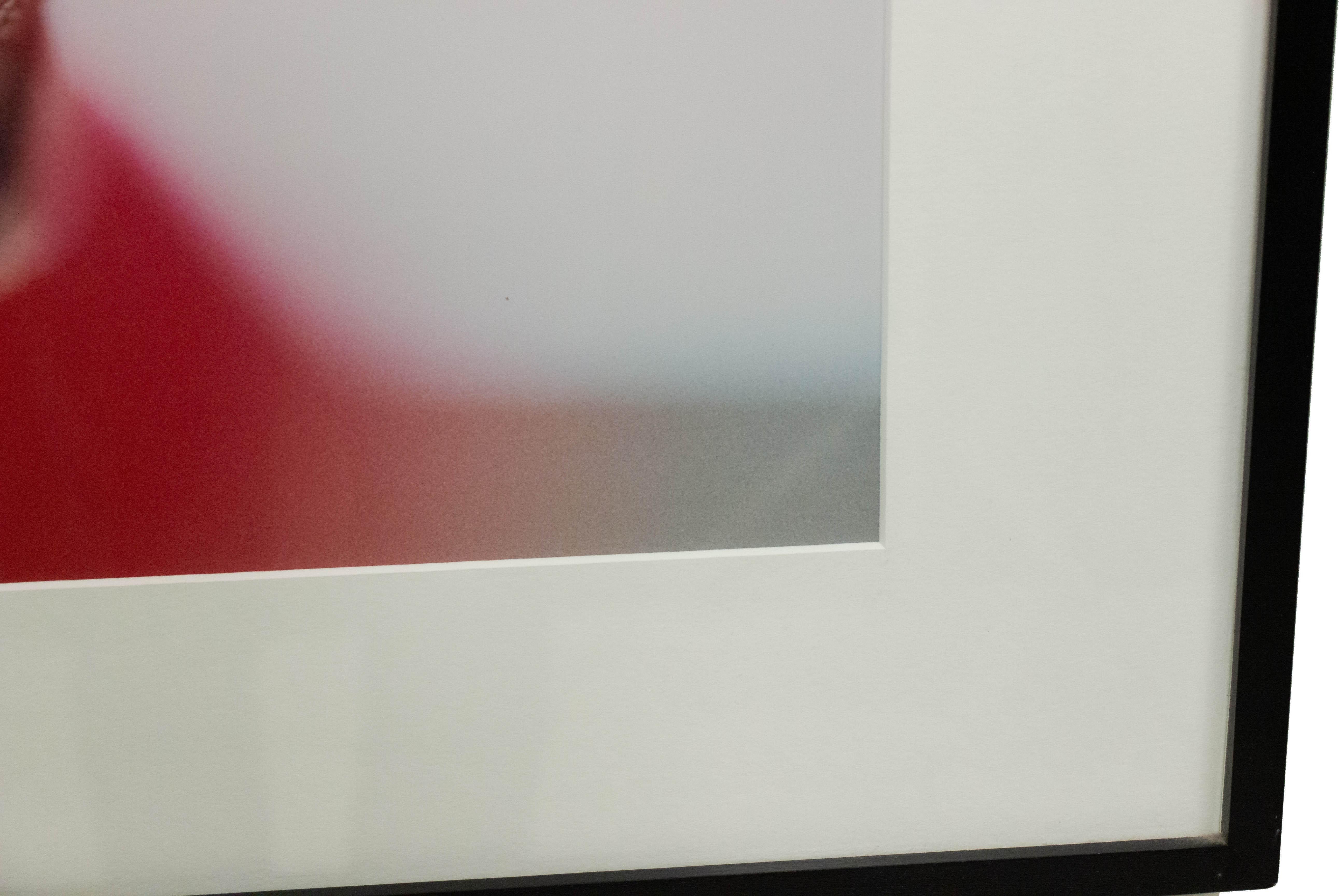 Américain Photographie en couleur d'un détail d'une fleur pourpre en vente
