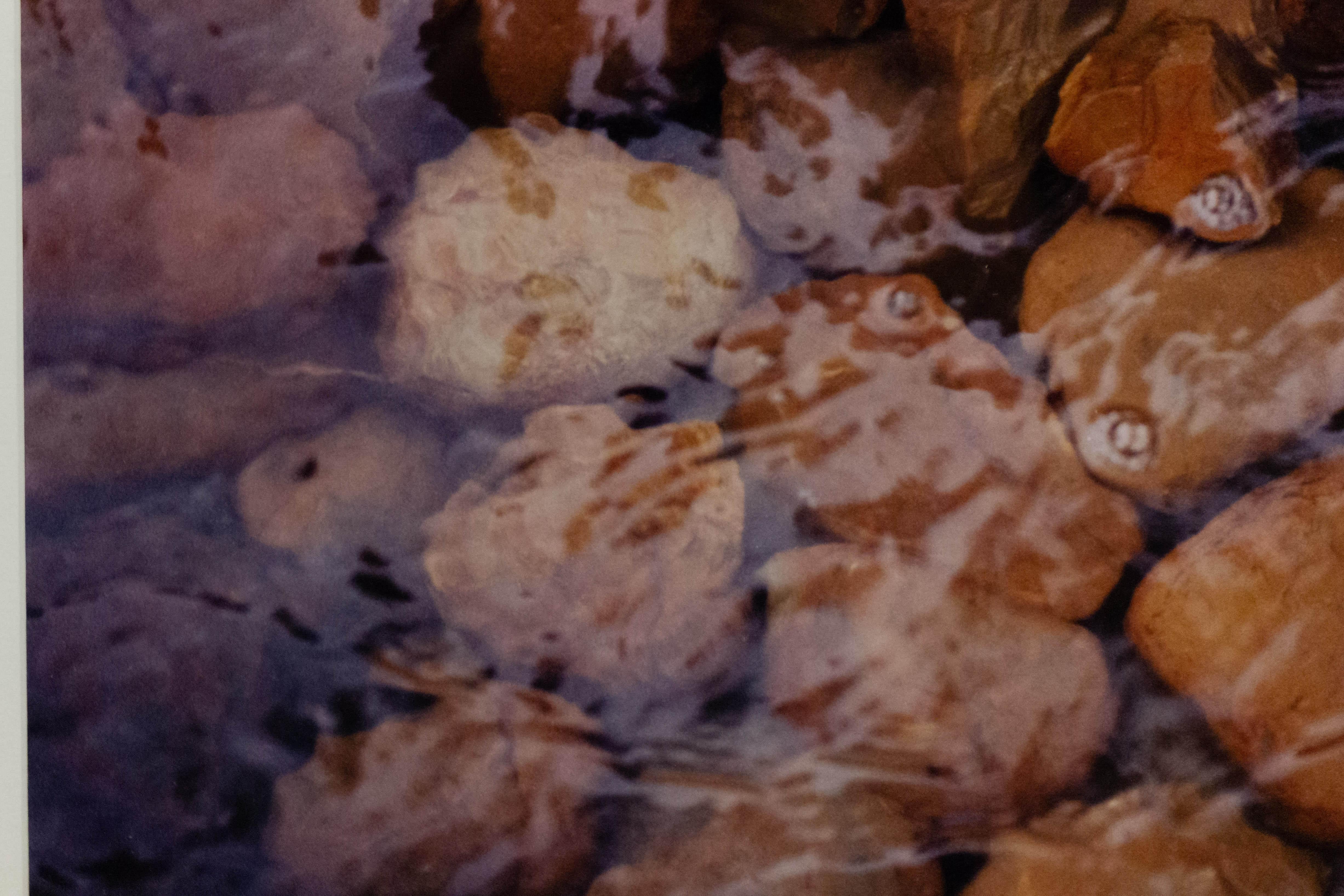 Color photograph of a detail of a stream with rocks with a black frame and a white matte. Photograph by Shelley Harrison.
    