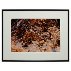 Color Photograph of Silver Foil