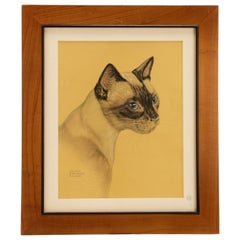 Stampa a colori raffigurante un gatto siamese, USA, 1940