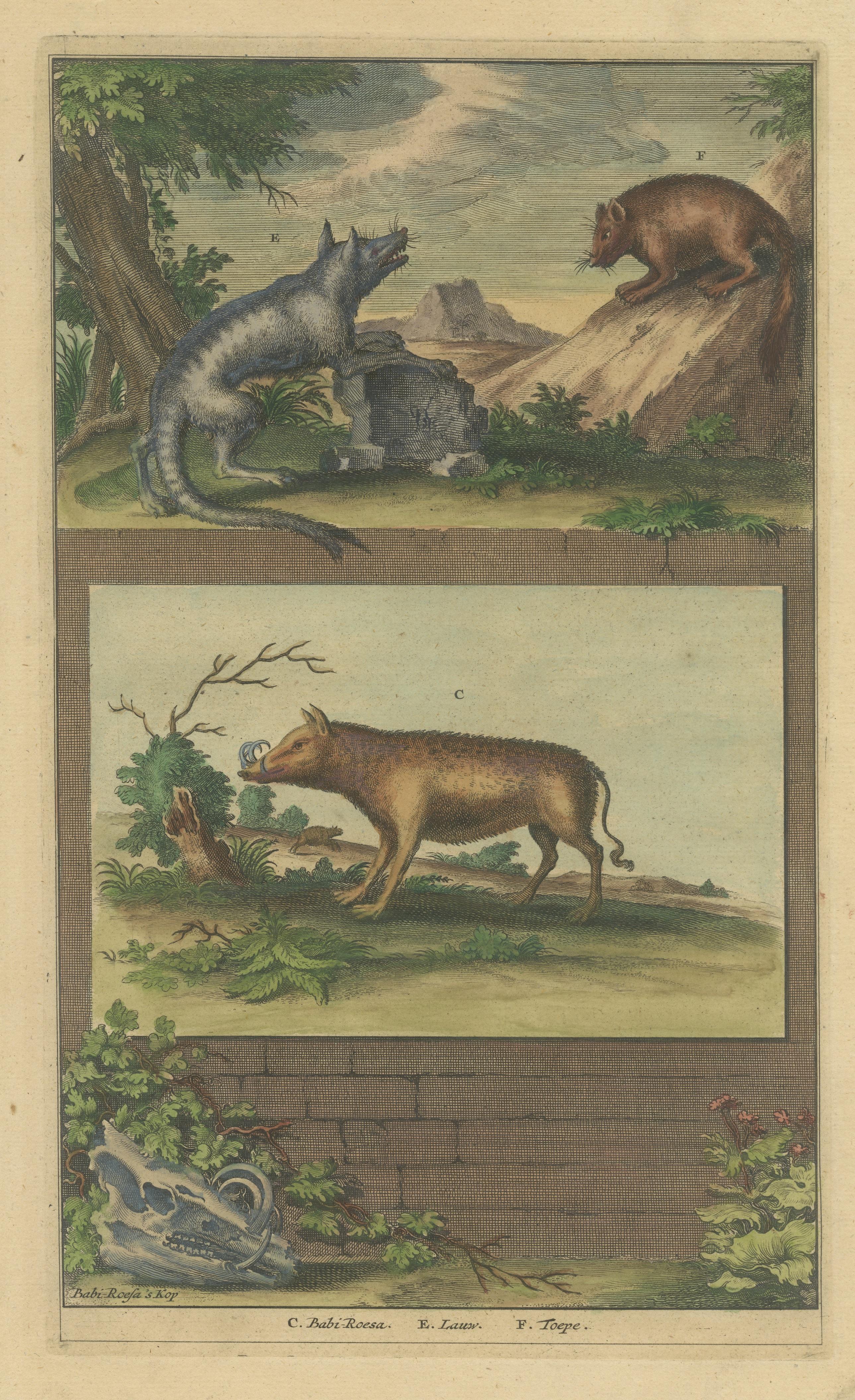Farbiger antiker Druck eines Babirusa und zweier anderer Tiere im Zustand „Gut“ im Angebot in Langweer, NL