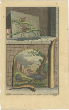 Impression ancienne en couleur d'une sauterelle, de hérissons et de la corne d'une biche