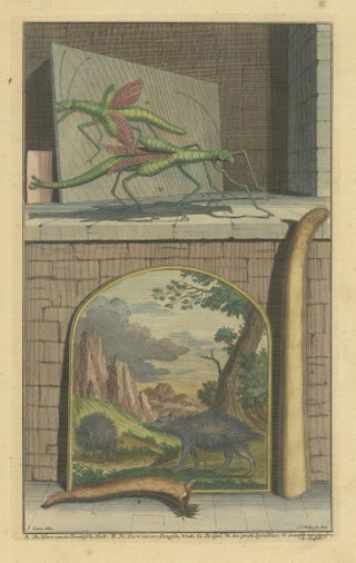 Colored Antique Print of a Grasshopper, Hedgehogs and the Horn of Doe, view 3