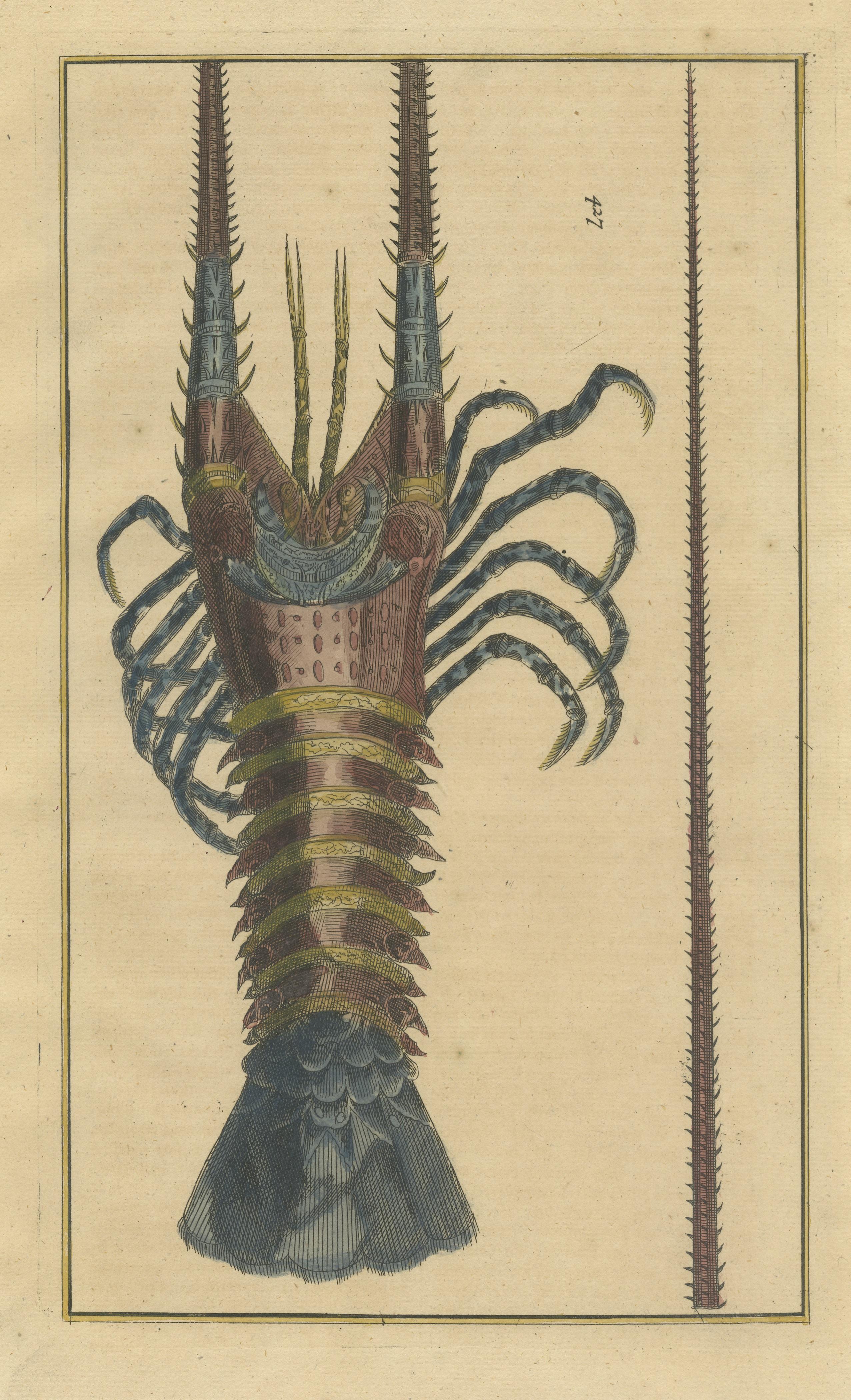 Colored Antique Print of a Lobster In Good Condition For Sale In Langweer, NL