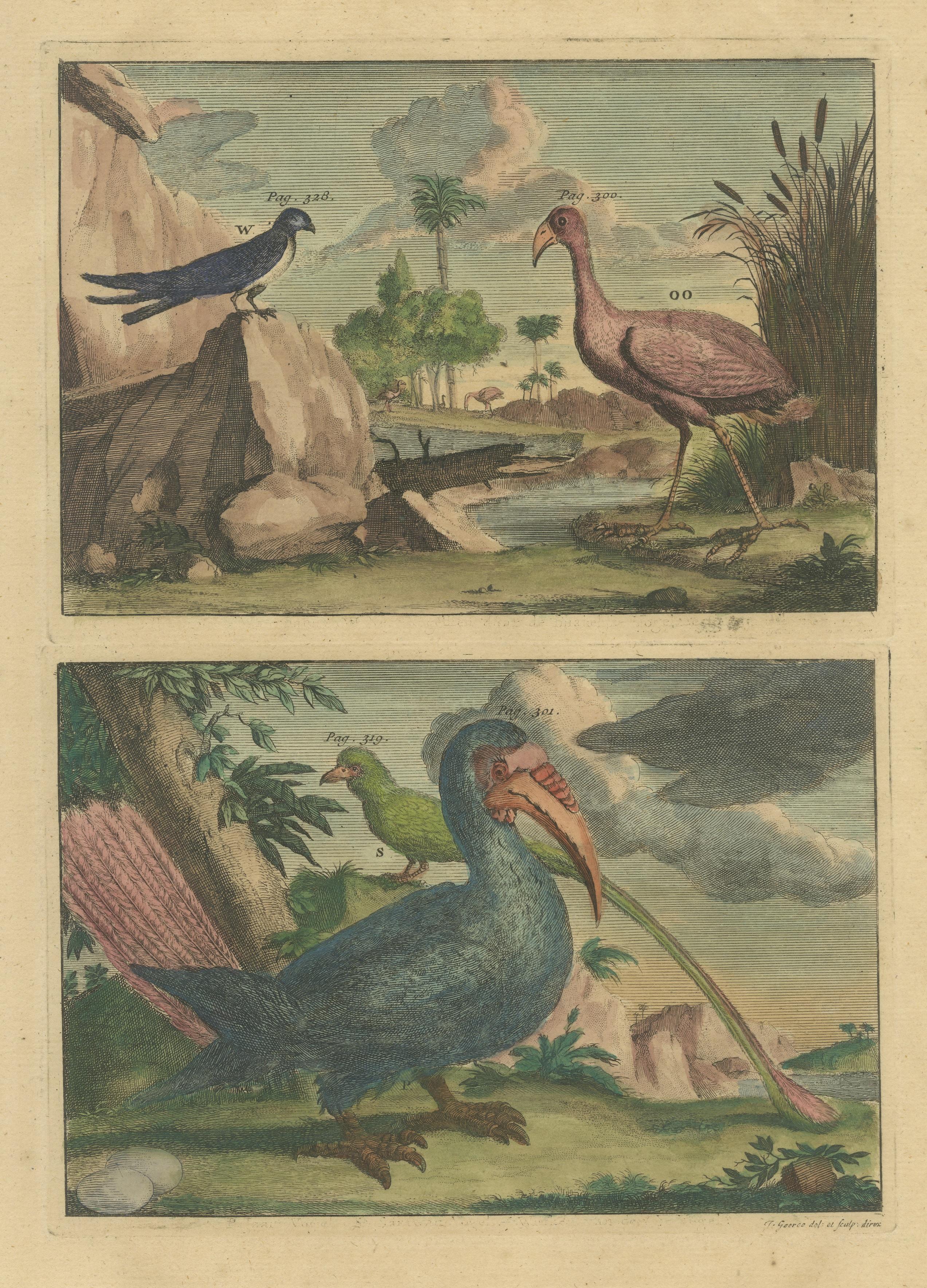 Farbiger antiker Druck einer Schwalbe, eines Eisvogels und anderer Vögel Indonesiens im Zustand „Gut“ im Angebot in Langweer, NL
