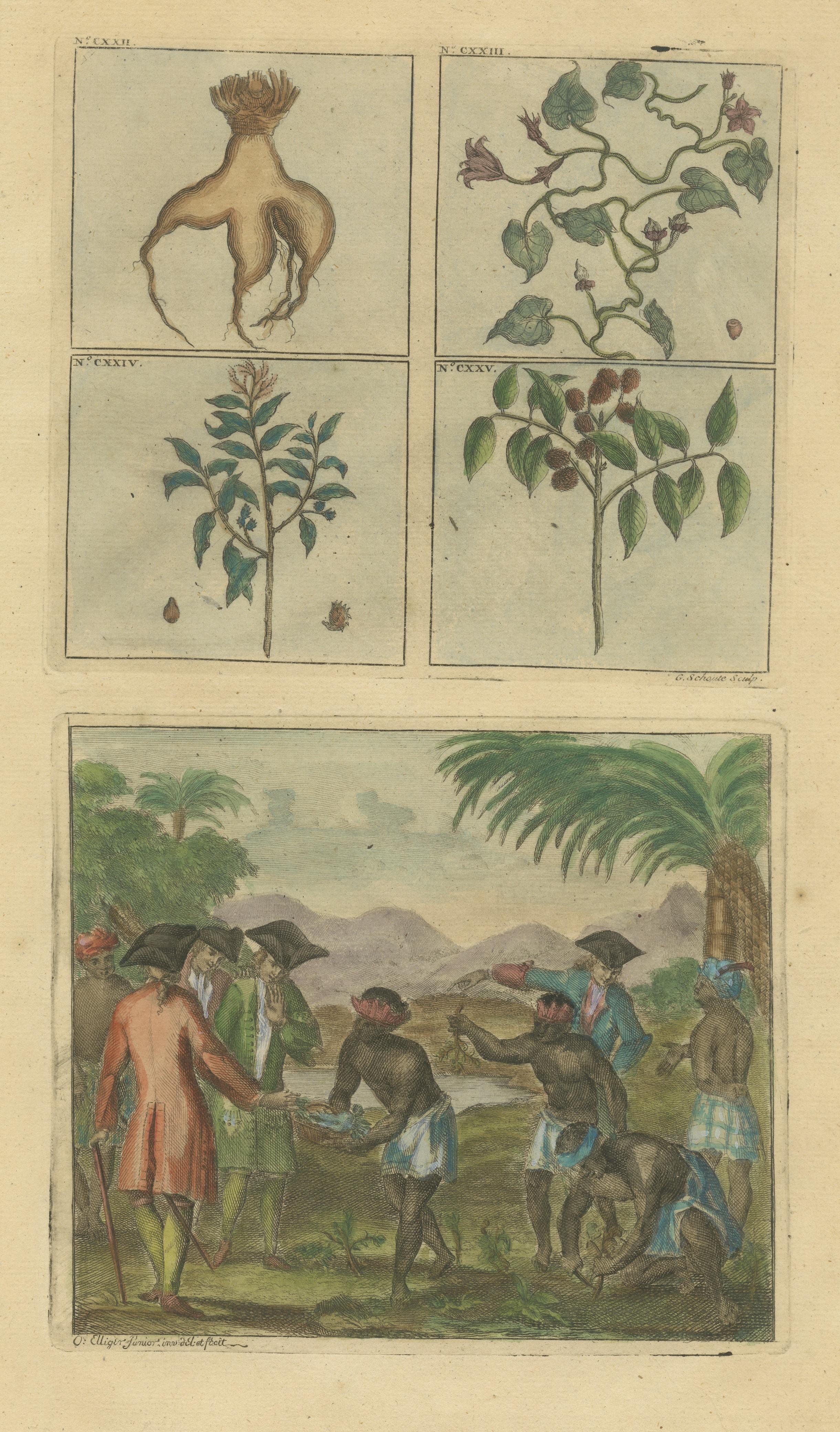 Farbiger antiker Druck von Pflanzen, Bäumen und Indonesischen Ureinwohnern mit VOC-Menschen im Zustand „Gut“ im Angebot in Langweer, NL