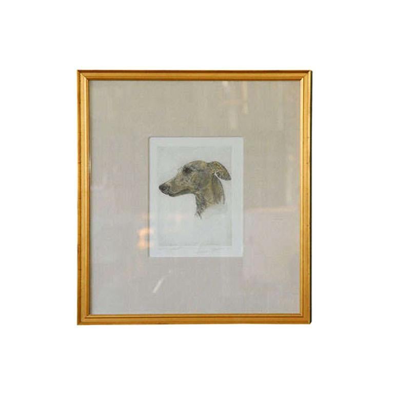 Colored Etching of Whippet Hunting Dog For Sale