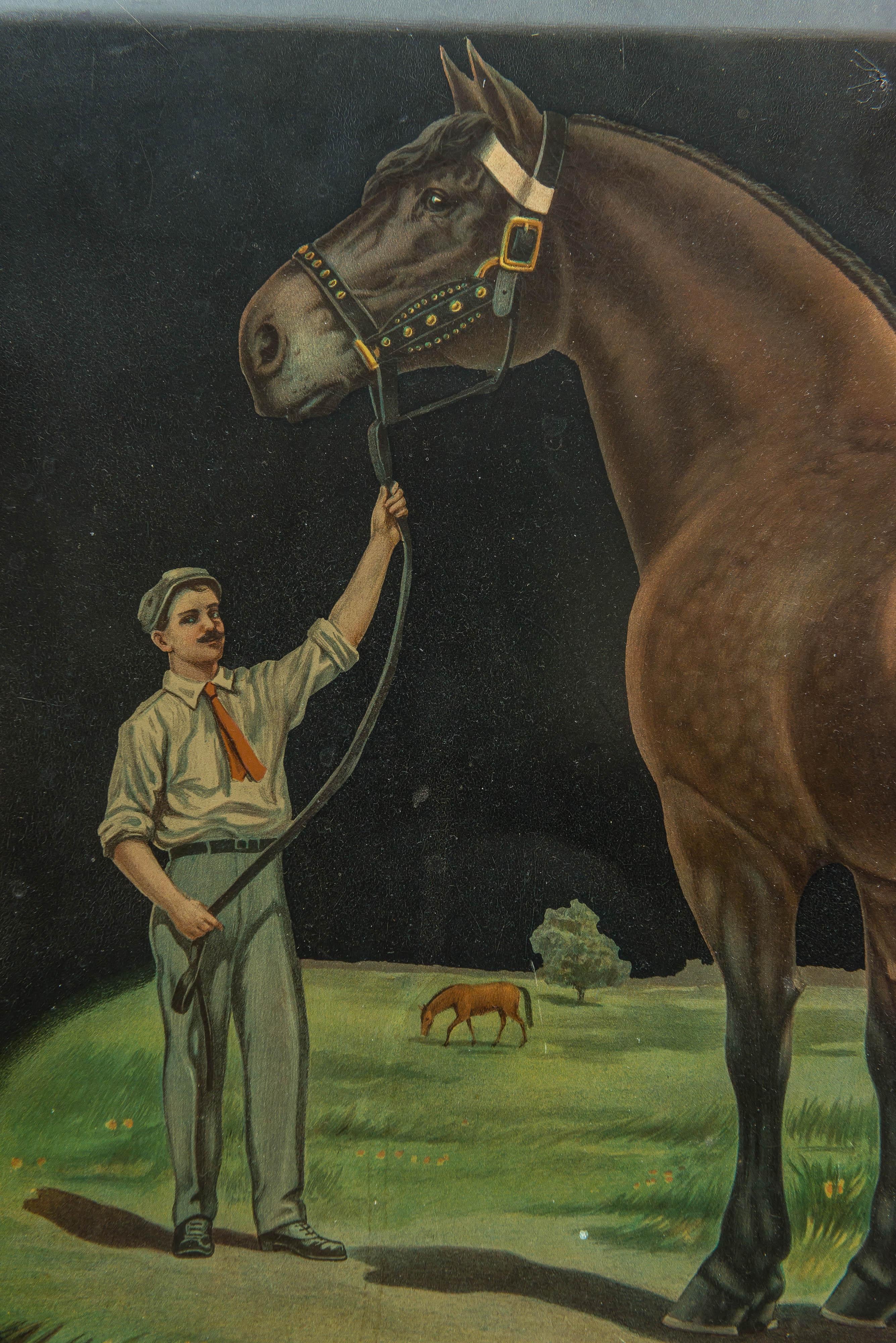 Other Colorful Advertising Chromolithograph Tin Sign with Famous Horse