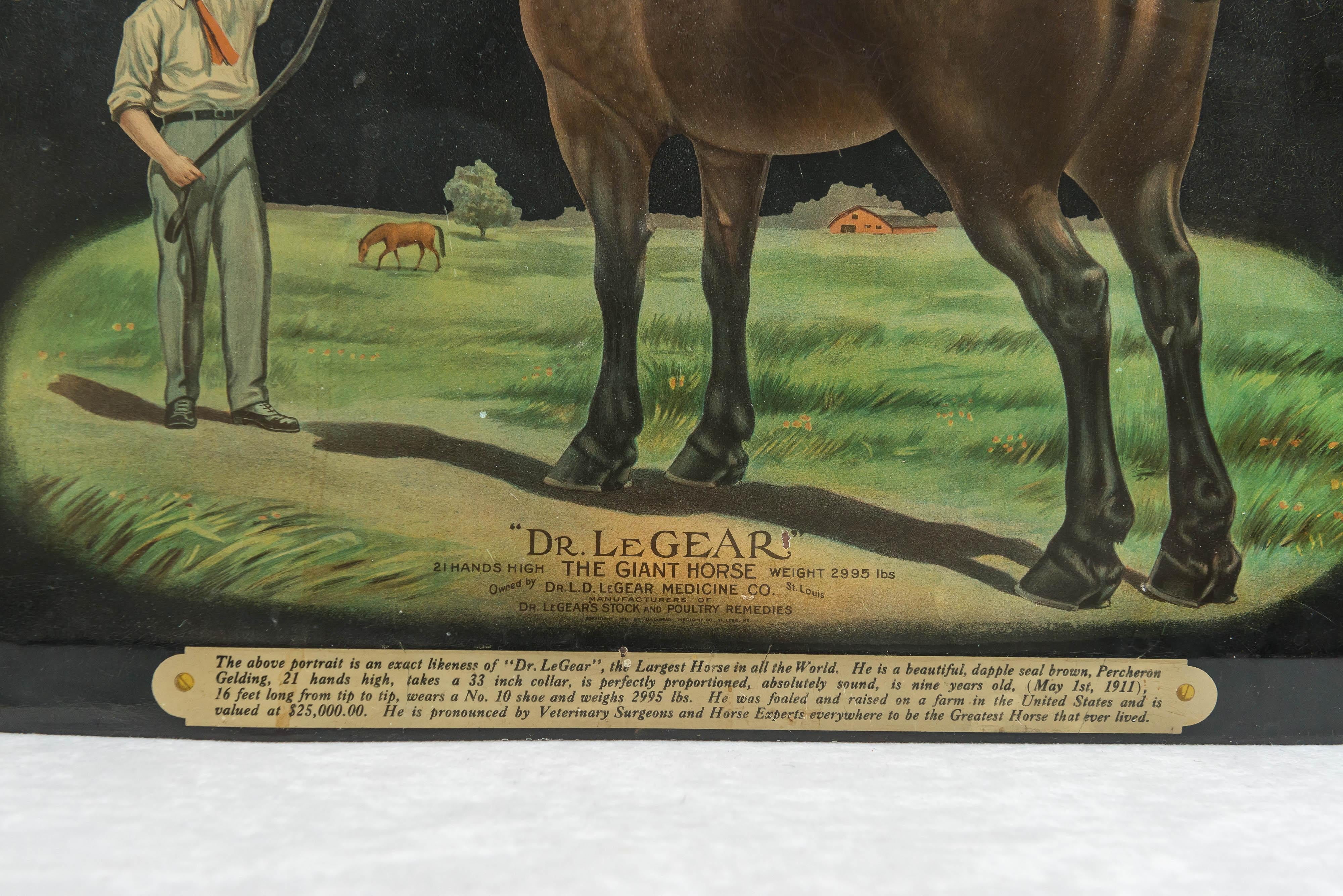 Colorful Advertising Chromolithograph Tin Sign with Famous Horse In Good Condition In Petaluma, CA