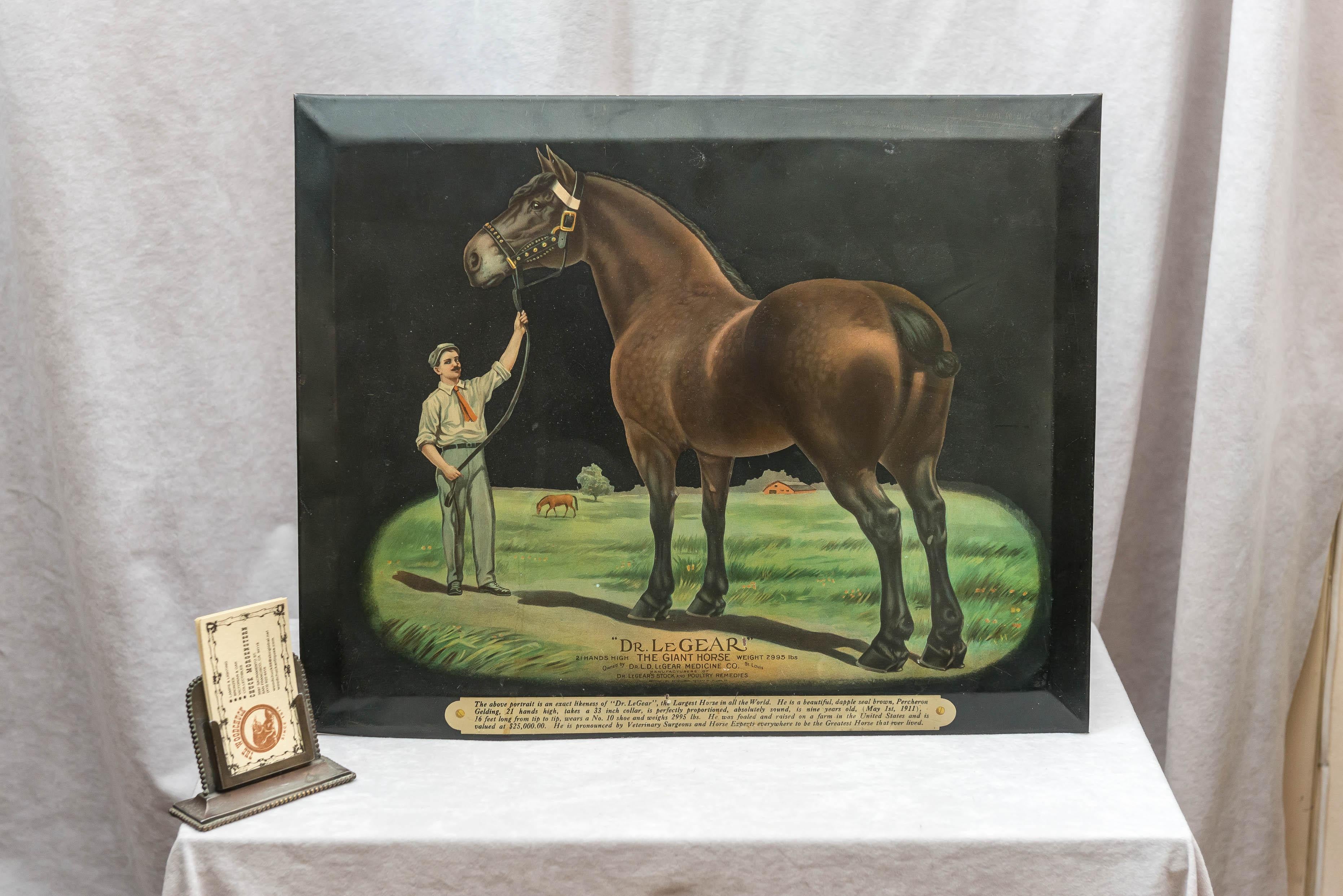 Early 20th Century Colorful Advertising Chromolithograph Tin Sign with Famous Horse