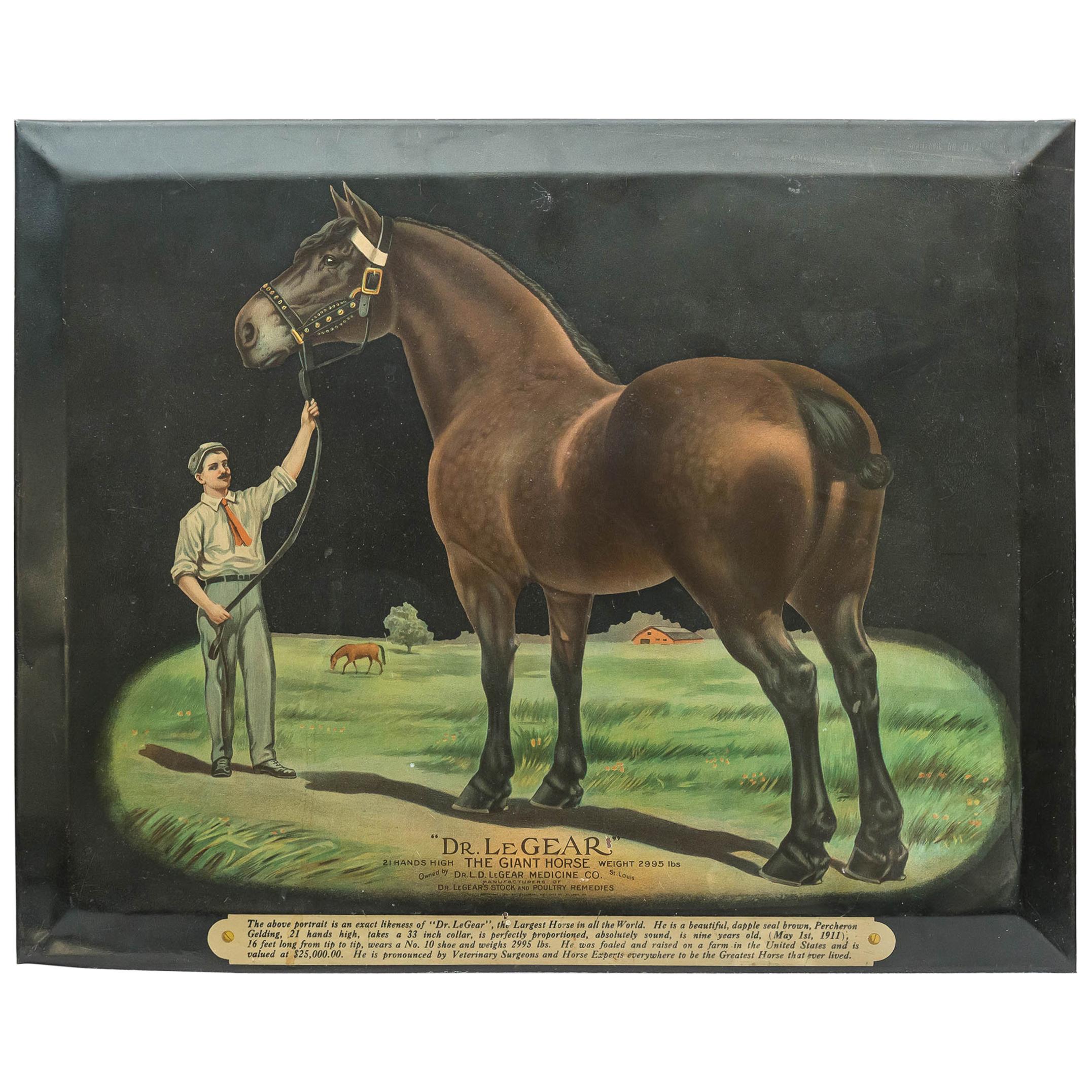 Colorful Advertising Chromolithograph Tin Sign with Famous Horse