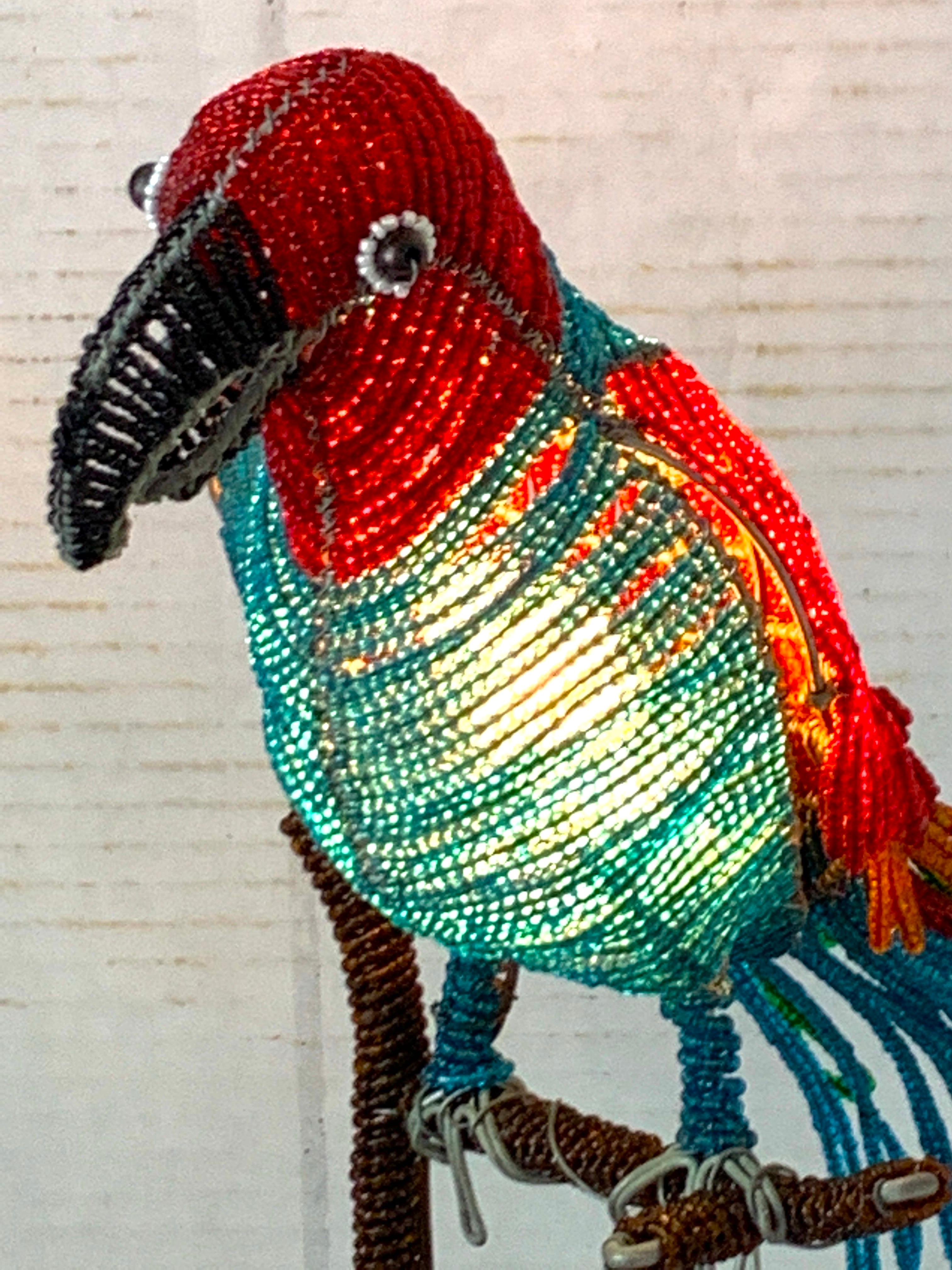 uccelli con caschetto