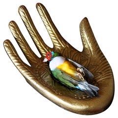 Colorful Bird Taxidermy Lady Gouldian Finch 'Erythrura Gouldiae' Gilded Hand
