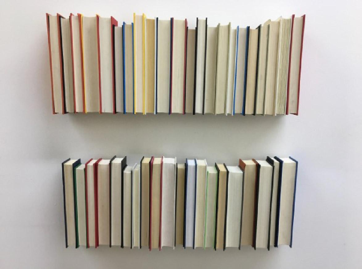 Hergestellt aus echten, ausgeschnittenen Büchern. Dekorieren Sie Ihre Wände oder Regale mit echten Büchern. Hervorragend geeignet für Zoom-Call-Hintergründe, Requisiten für Film/Theater oder damit Sie so schlau aussehen, wie Sie sich fühlen. 

Sie