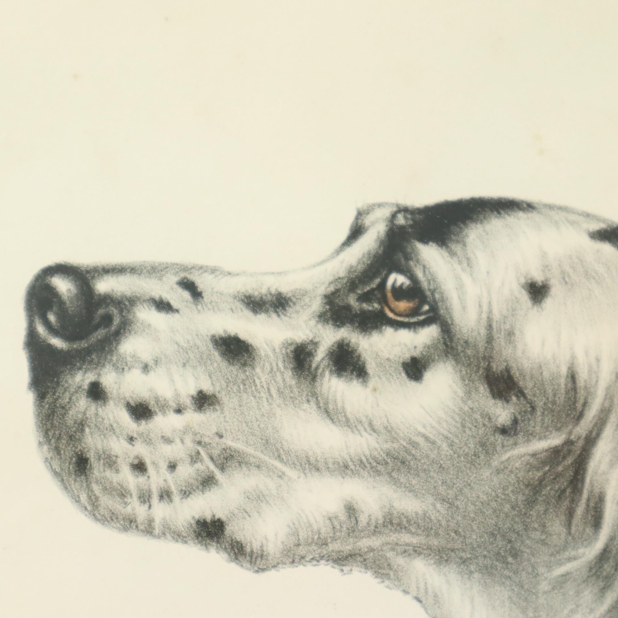 Farben Litho Leon Danchin Jagdhund Spaniel Nummeriert 150-300 (Glas) im Angebot