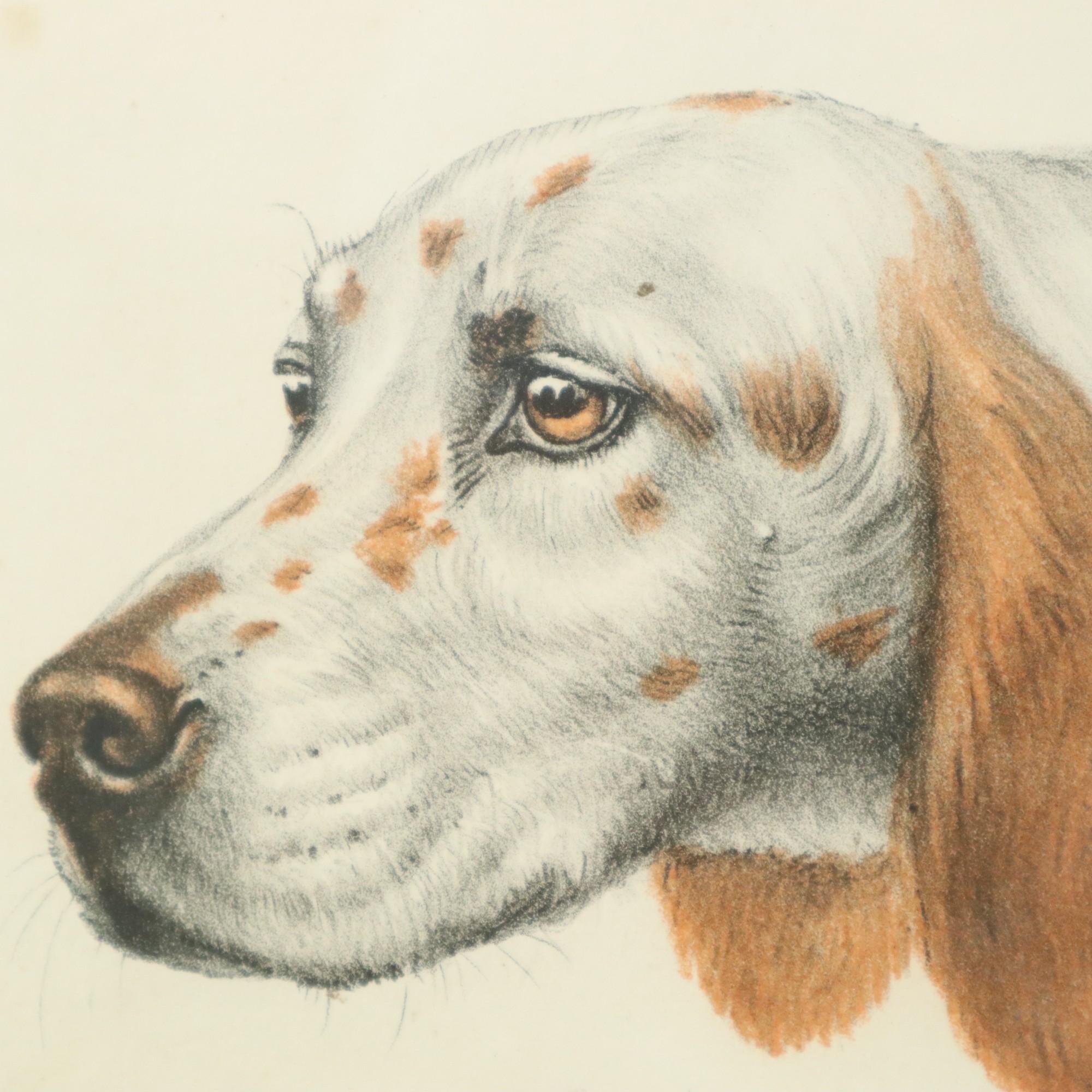 Farben Litho Leon Danchin Jagdhund Spaniel Nummeriert 150-300 im Angebot 1