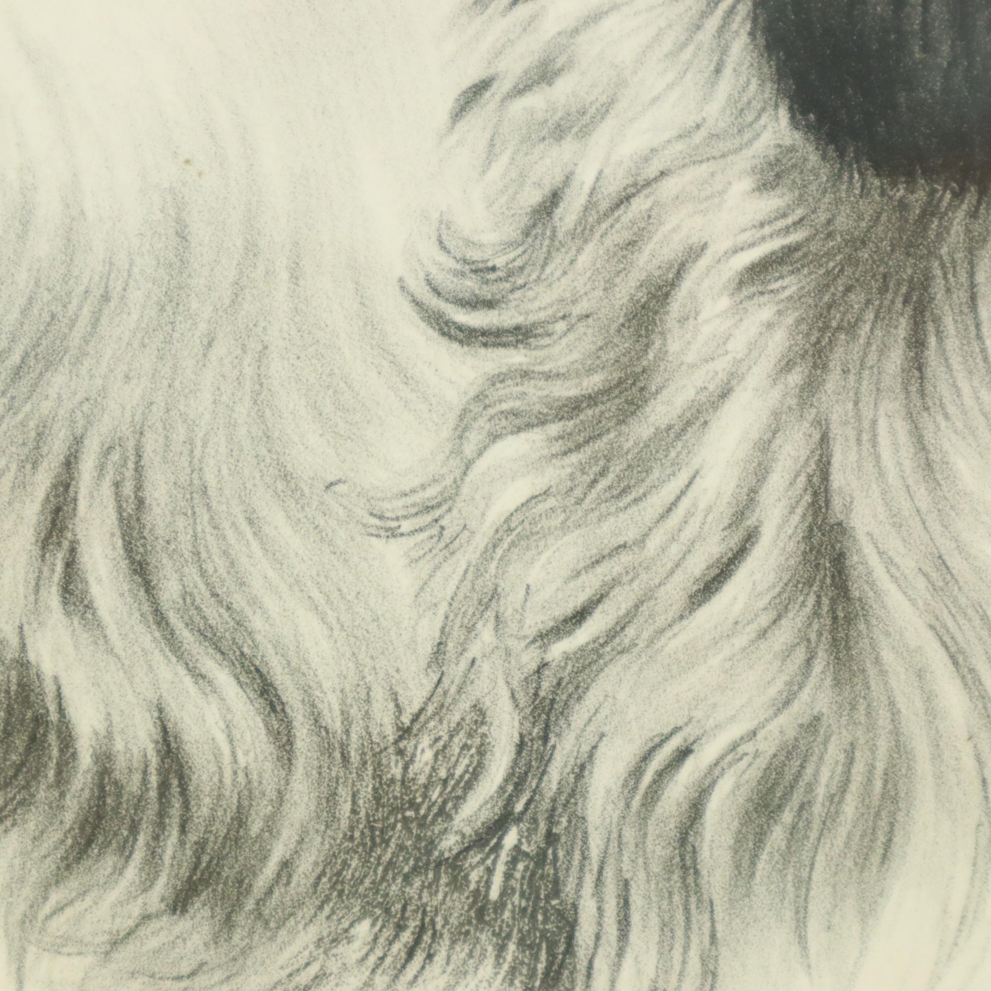 Farben Litho Leon Danchin Jagdhund Spaniel Nummeriert 150-300 im Angebot 2