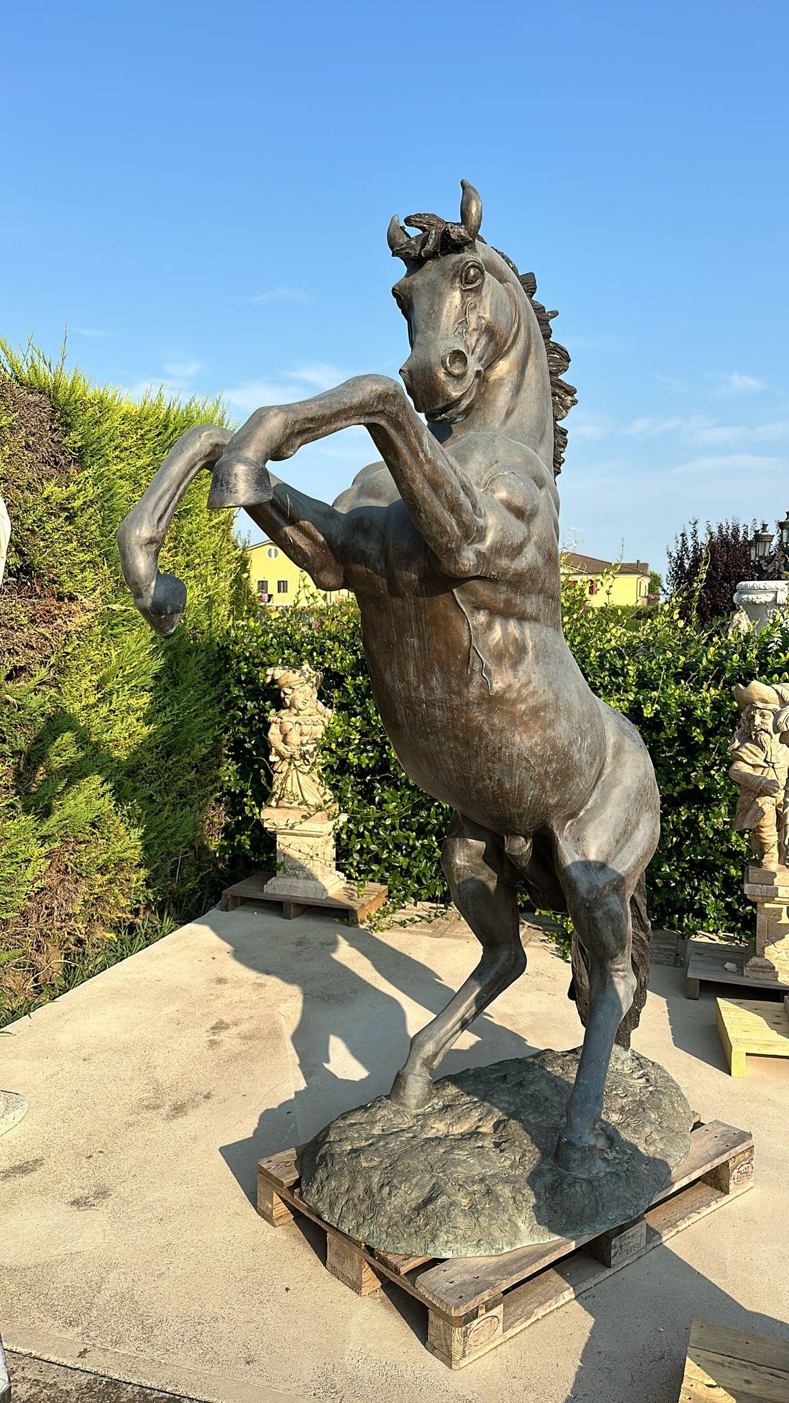 Colosal Escultura de Bronce de Caballo Criado - 300 cm de Majestuoso Arte en Bueno estado para la venta en Madrid, ES