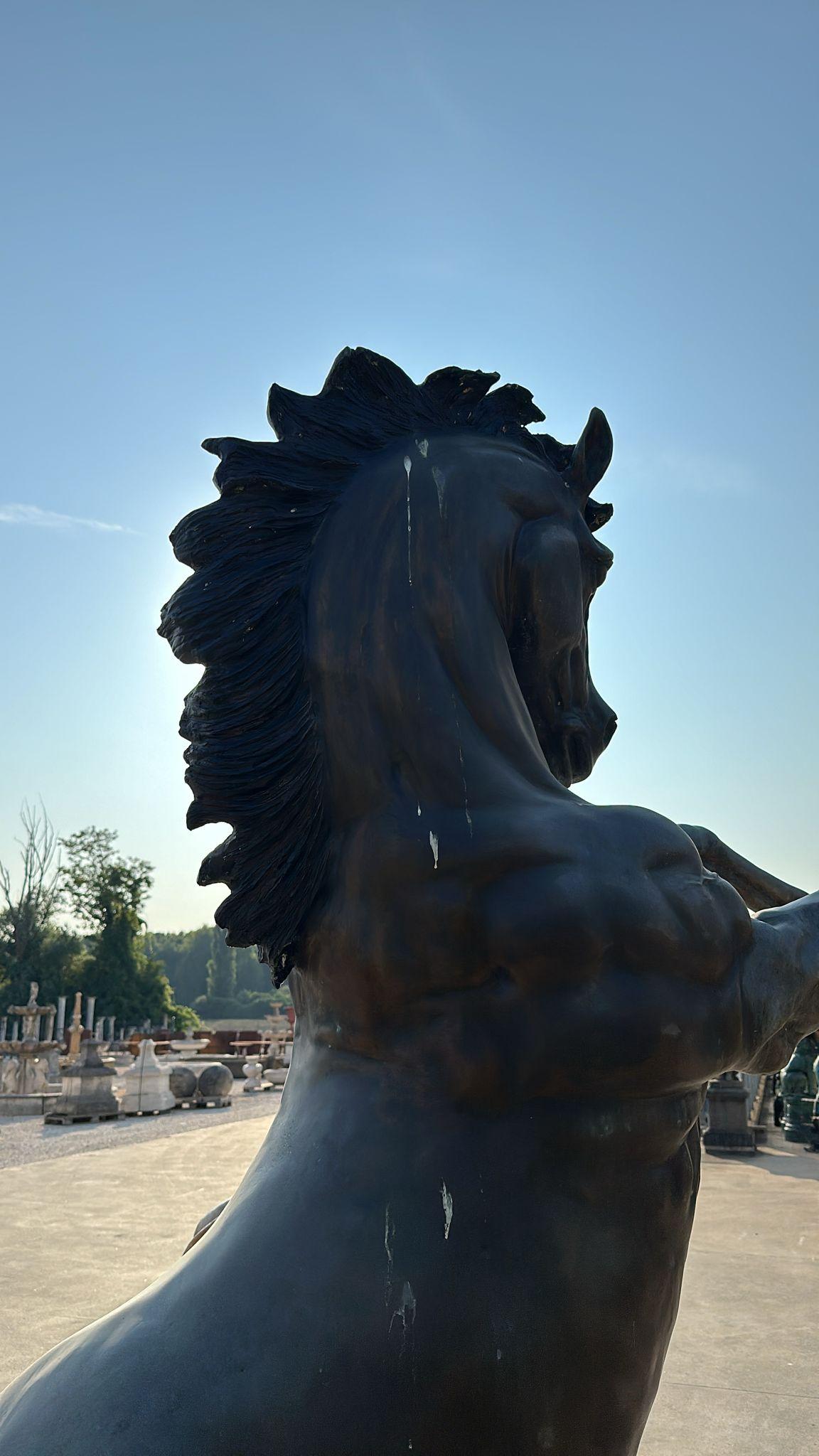 Colosal Escultura de Bronce de Caballo Criado - 300 cm de Majestuoso Arte finales del siglo XX en venta