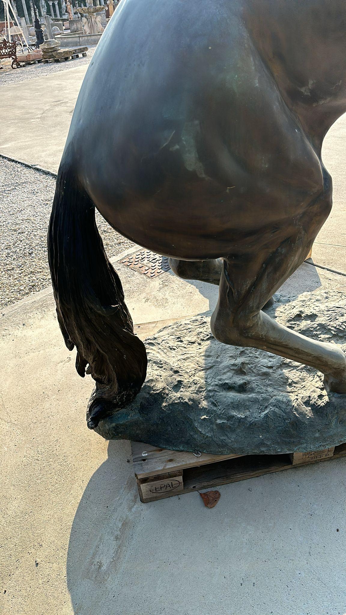 Colosal Escultura de Bronce de Caballo Criado - 300 cm de Majestuoso Arte en venta 1