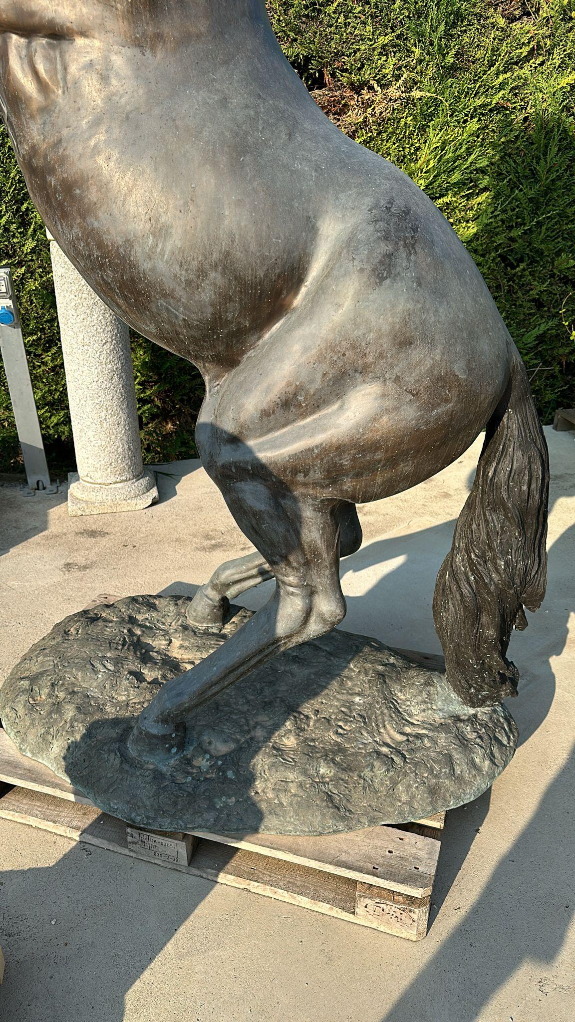 Colosal Escultura de Bronce de Caballo Criado - 300 cm de Majestuoso Arte en venta 2
