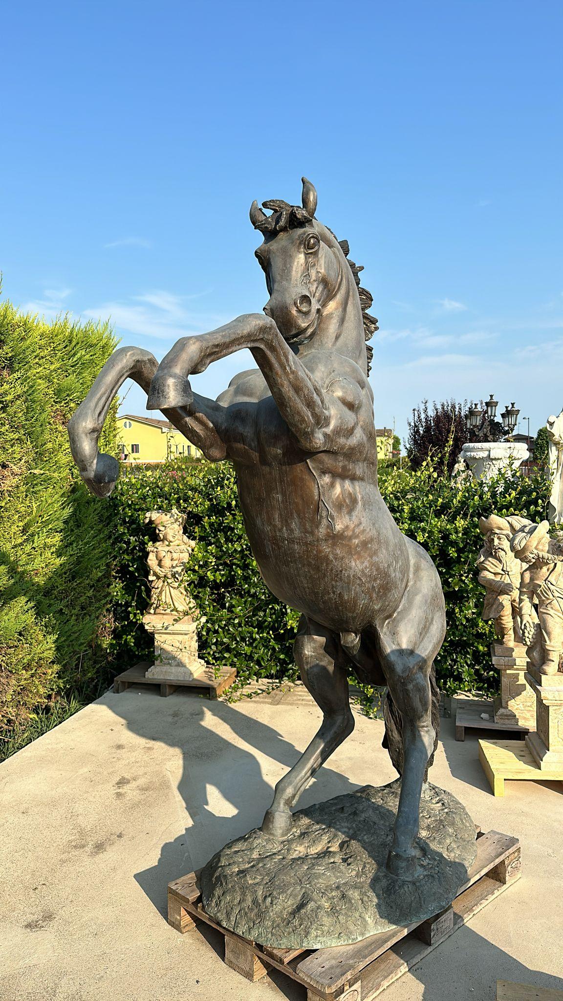 Colosal Escultura de Bronce de Caballo Criado - 300 cm de Majestuoso Arte en venta 3
