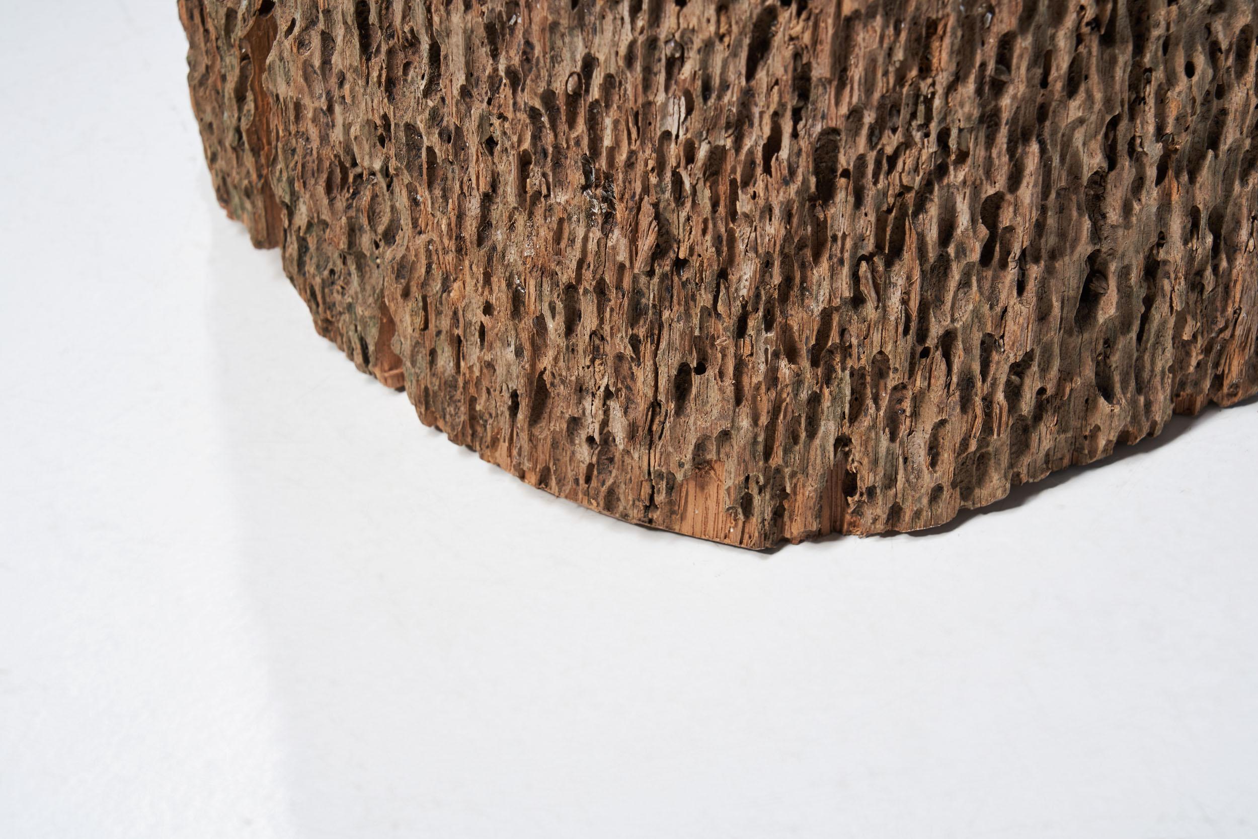 Sculpture de tronc d'arbre colossal, Afrique, 20ème siècle en vente 7
