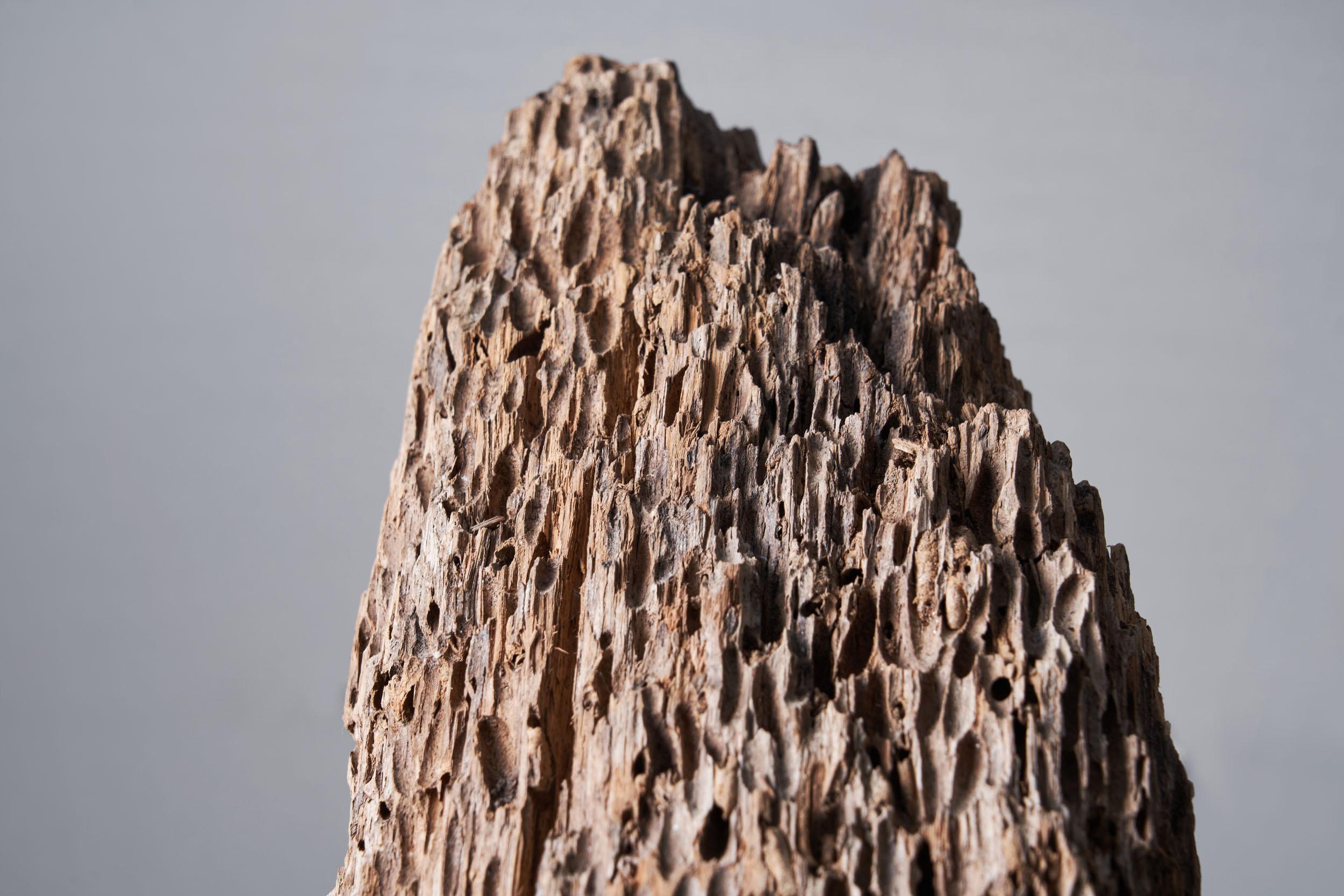 20ième siècle Sculpture de tronc d'arbre colossal, Afrique, 20ème siècle en vente