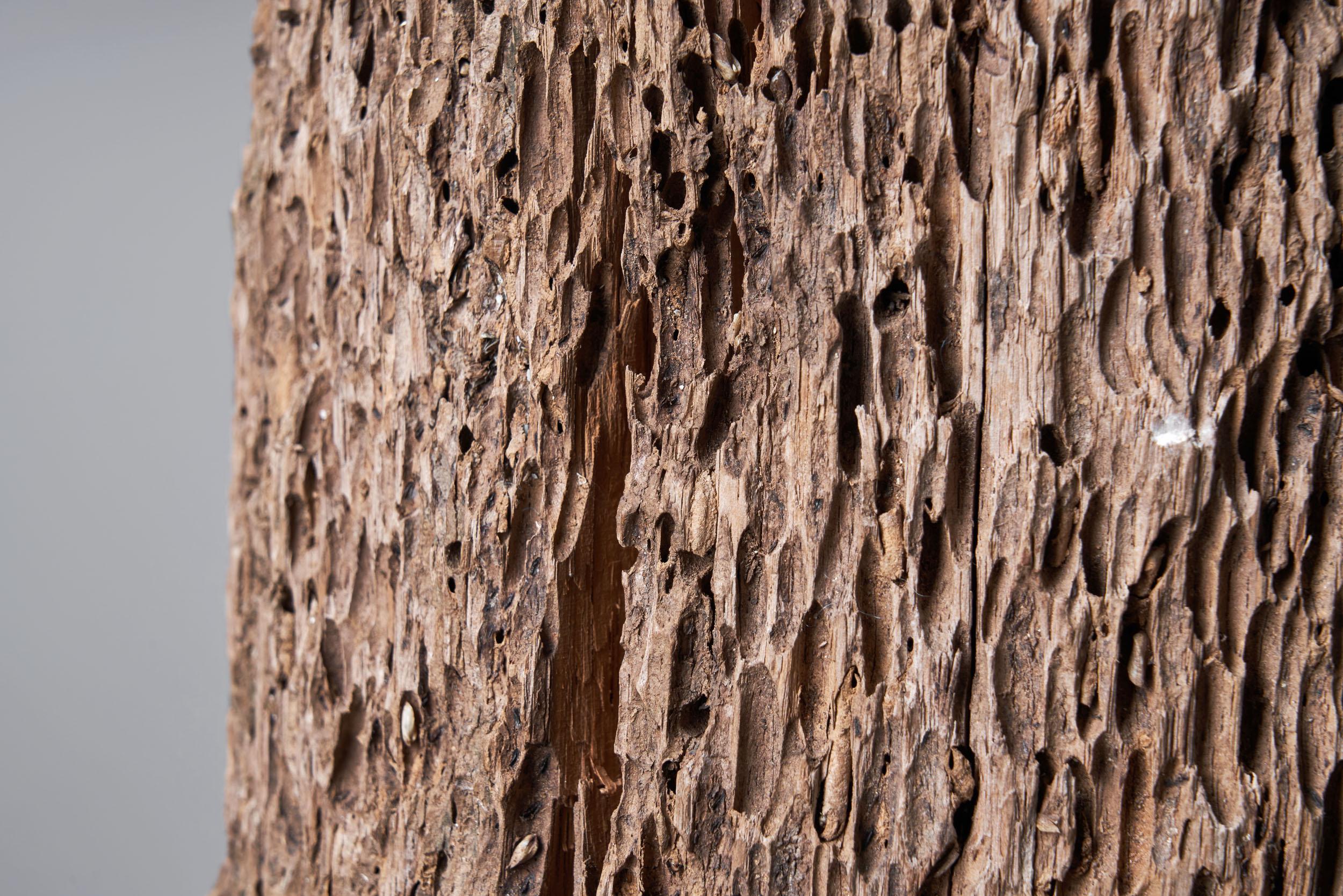 Bois Sculpture de tronc d'arbre colossal, Afrique, 20ème siècle en vente