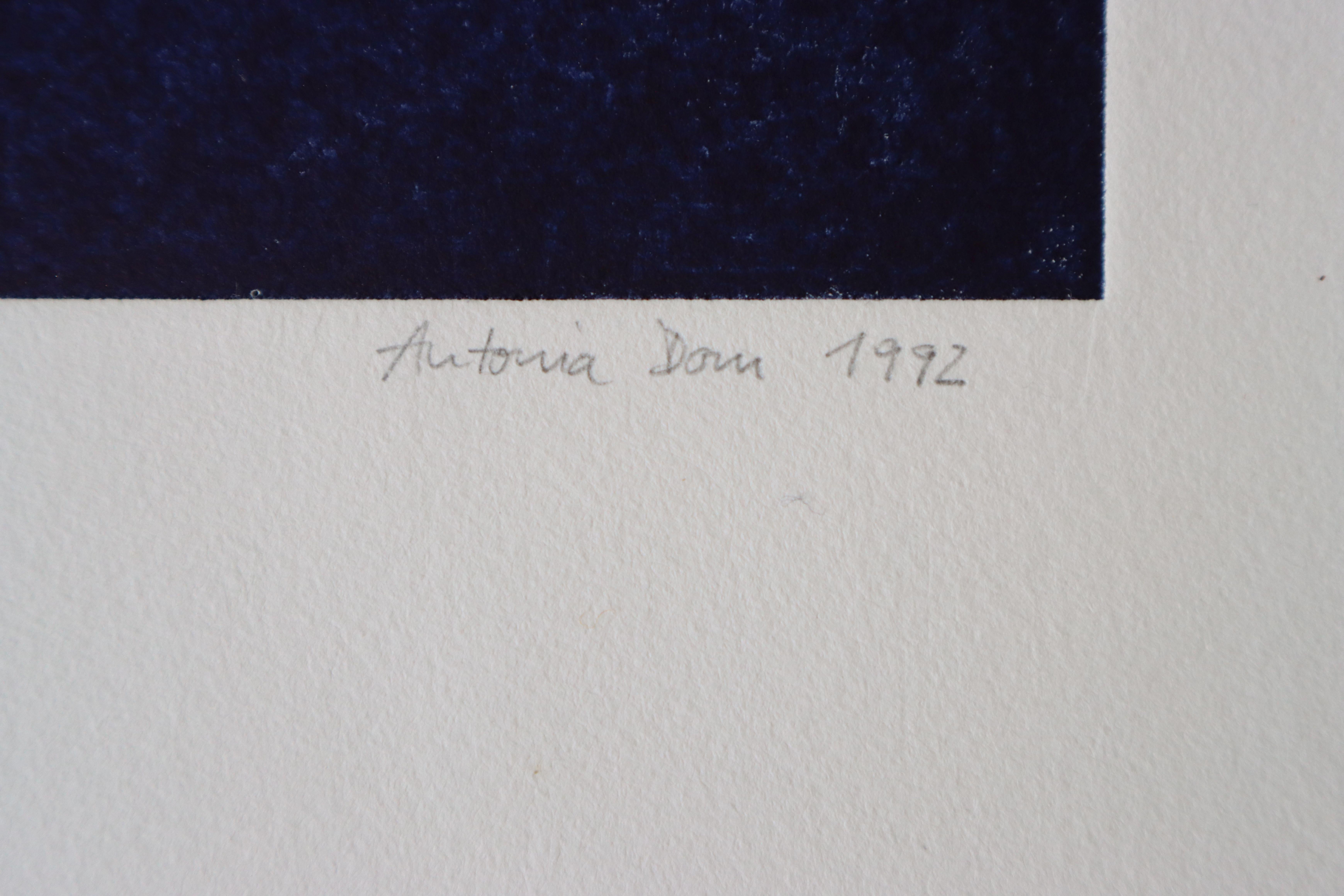 Farbradierung  Antonia Dombrowsky 1992- Farbgravur handgeschöpftes Bütten-Papier (Ende des 20. Jahrhunderts) im Angebot