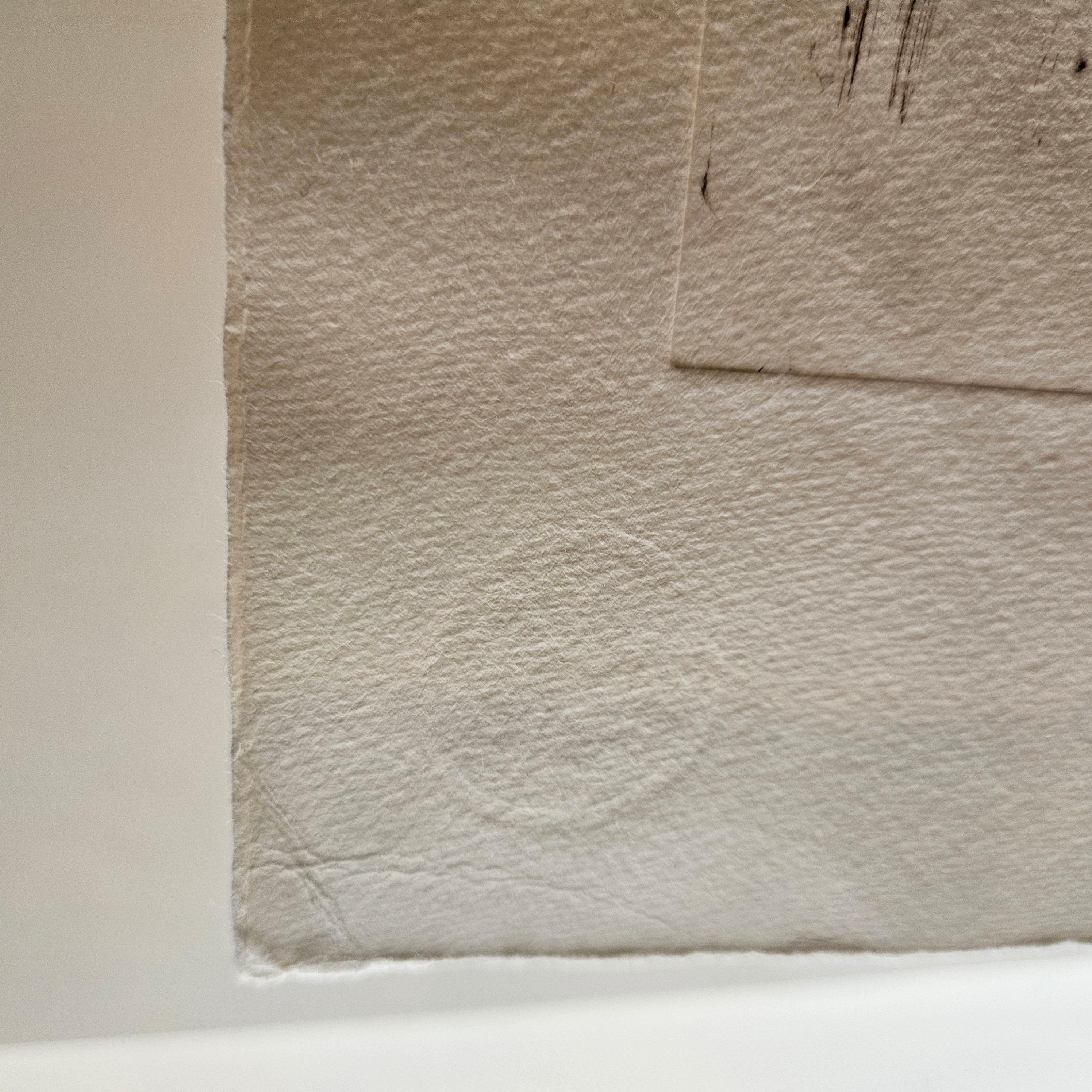 Farbradierung  Antonia Dombrowsky 2003 - Farbstich handgeschöpftes Bütten-Papier im Angebot 3